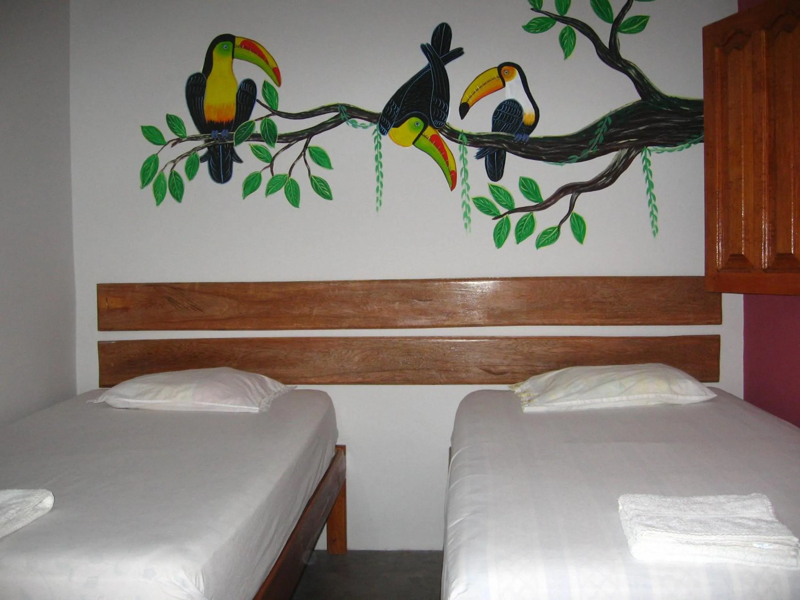 Bed in Amazon House Hostel