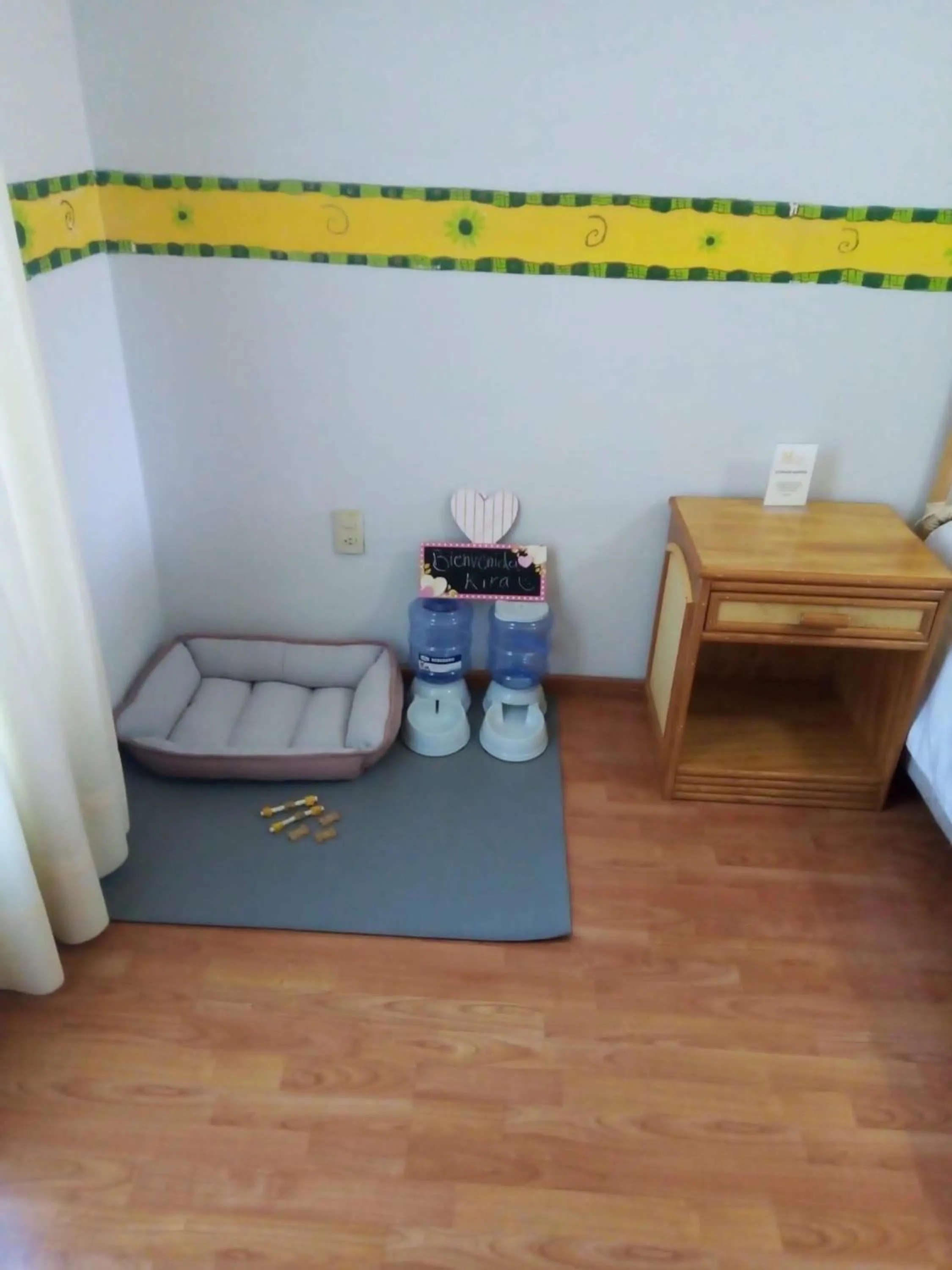 Pets in Hotel Hacienda Montesinos