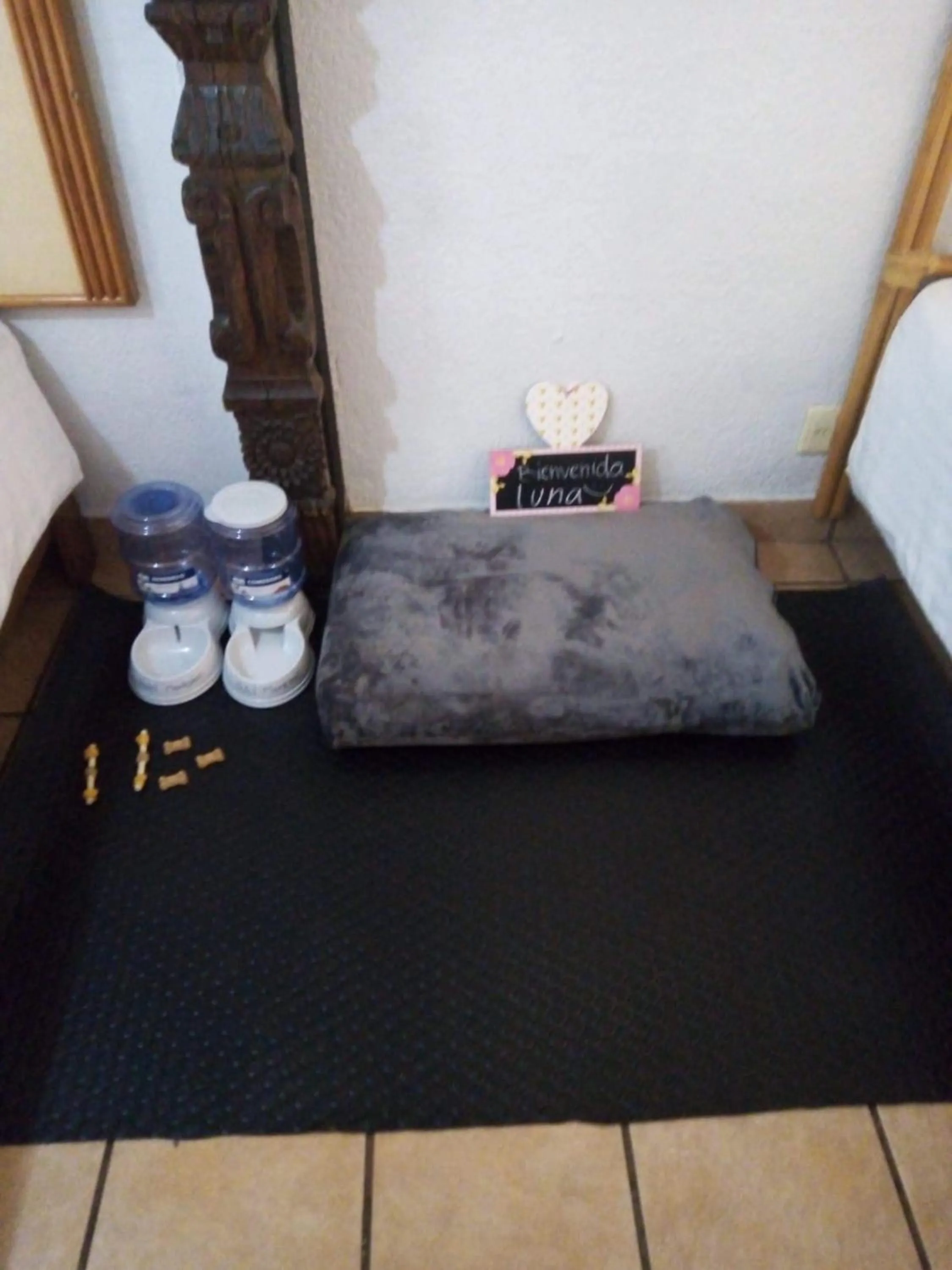 Pets in Hotel Hacienda Montesinos