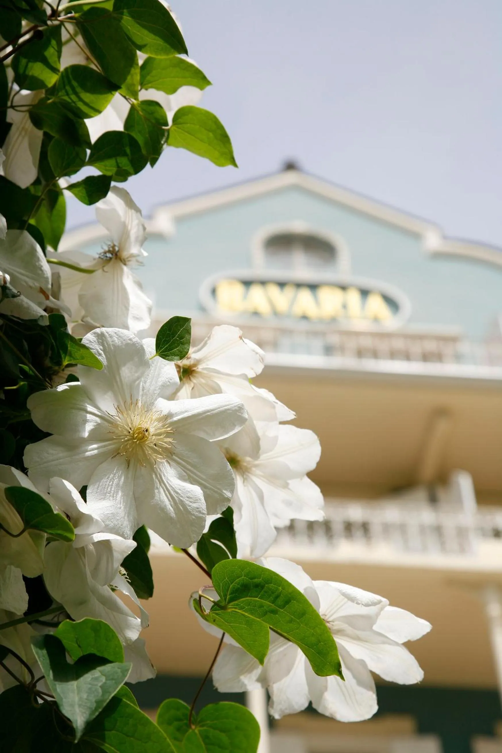 Facade/entrance in Villa Bavaria