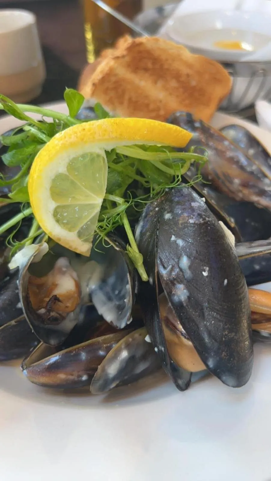 The Harbour House Sea Front Hotel