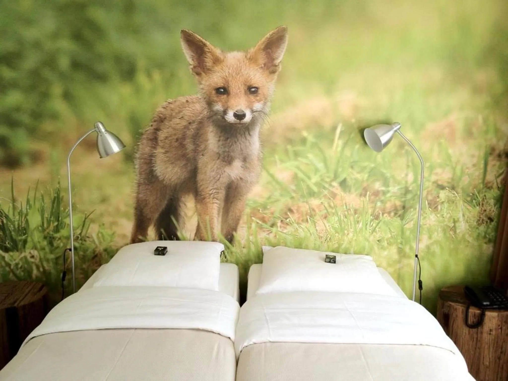 Photo of the whole room in Hajé Restaurant de Aalscholver