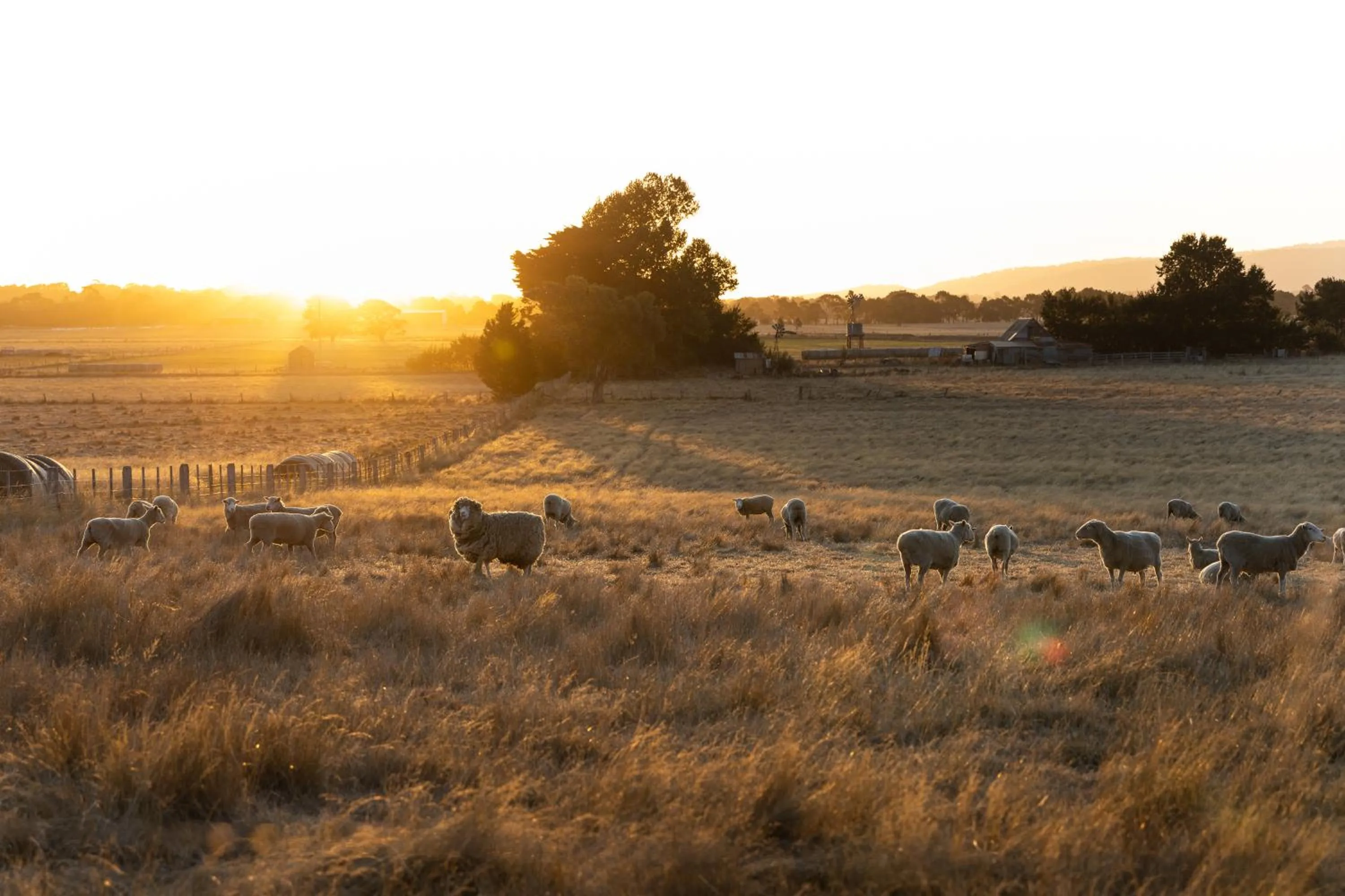 View (from property/room) in Cleveland Estate