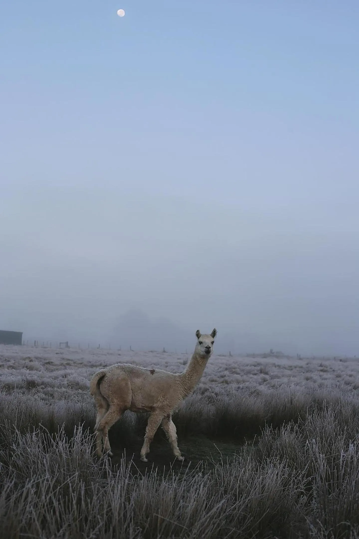 View (from property/room) in Cleveland Estate