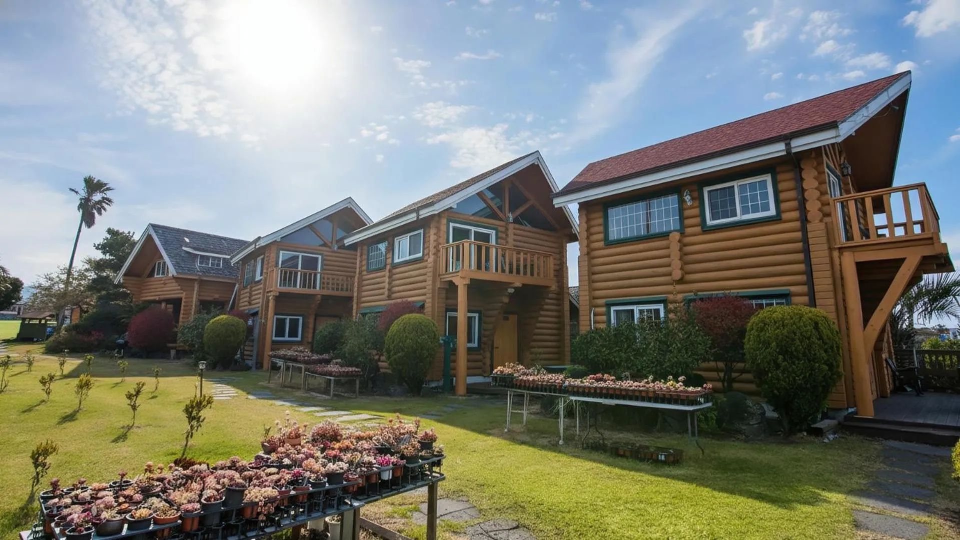 Property building in Seogwipo Neulbada Pet Pension