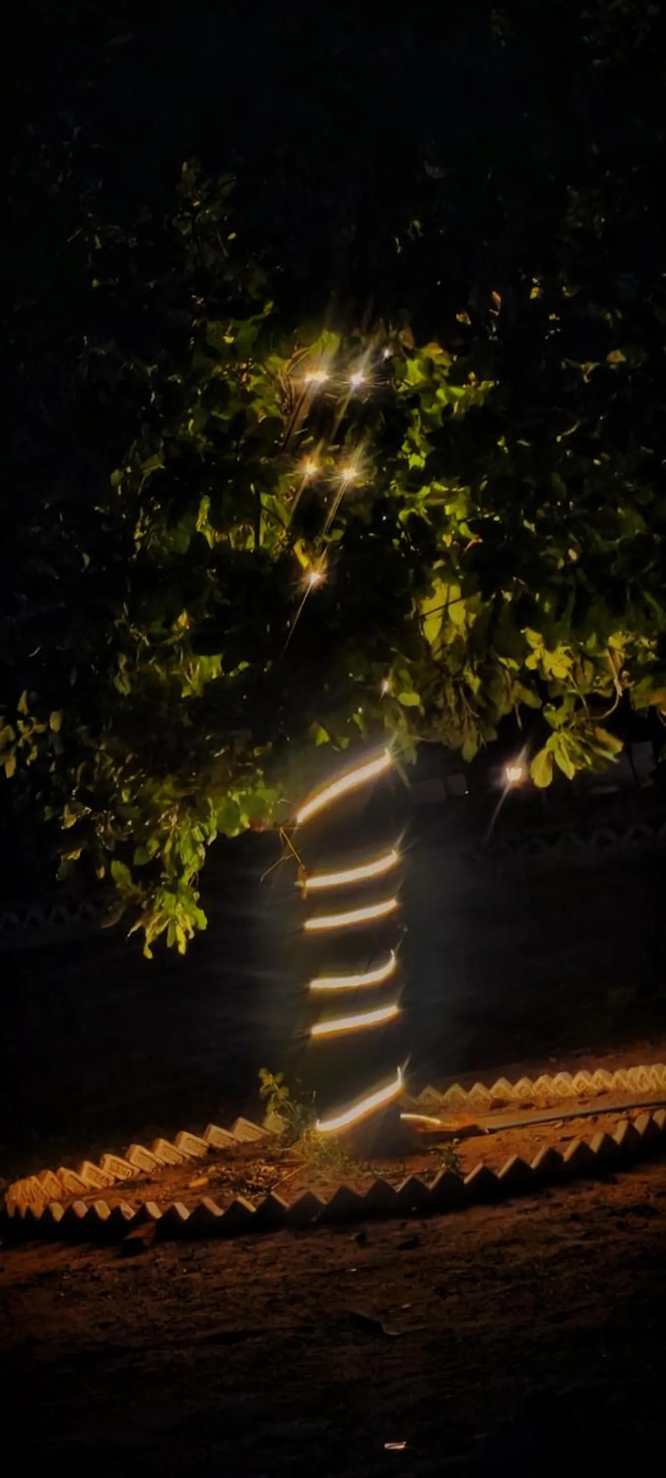 Night in Bandhavgarh Tiger Resort