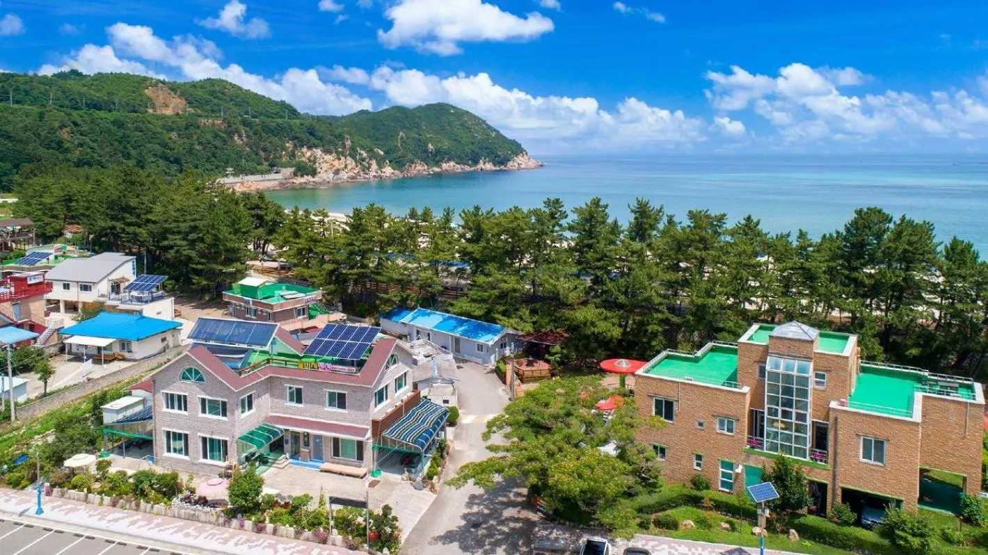 Property building in Samcheok Sol Beach Pension
