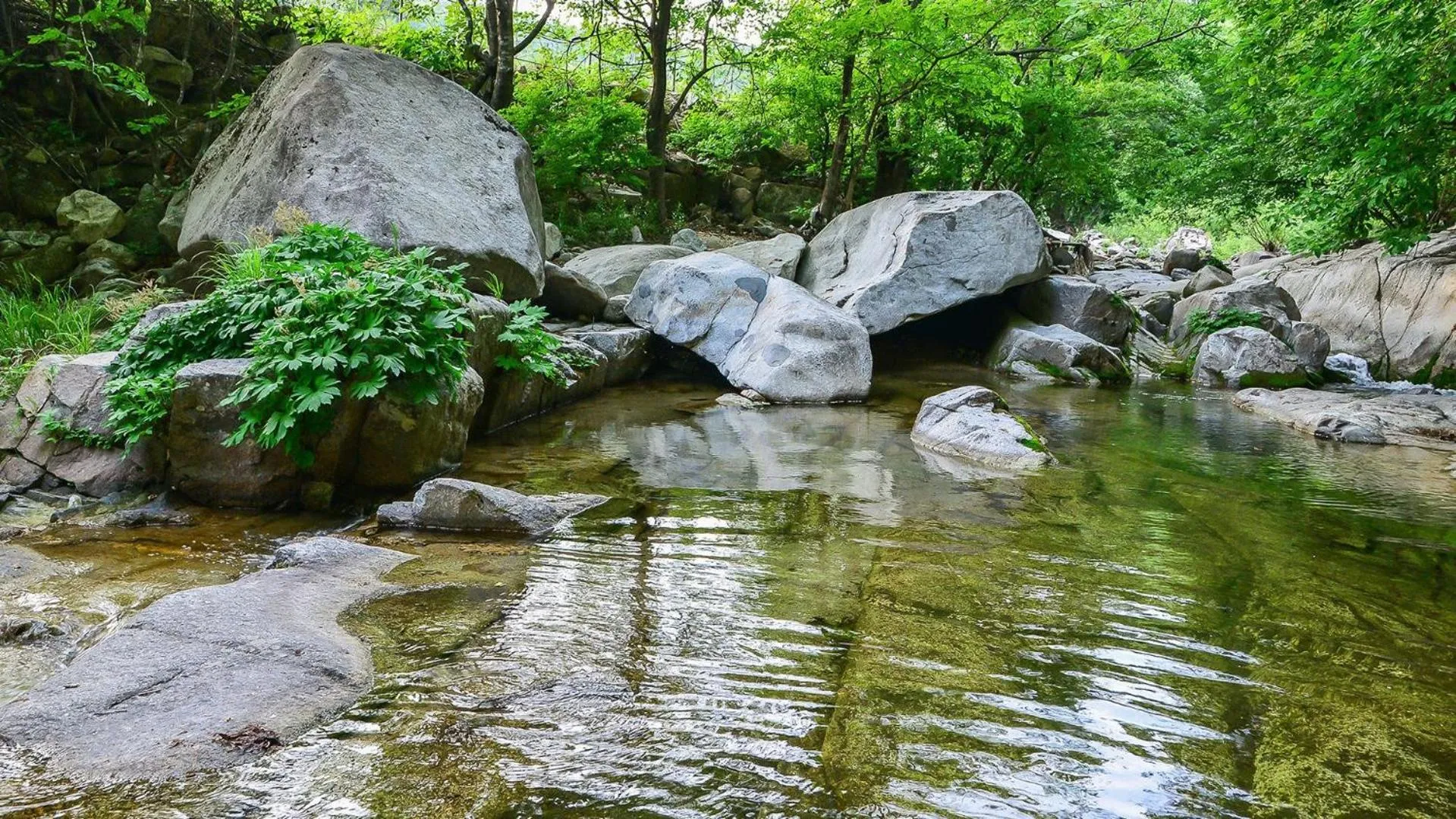 Property building in Hwacheon Turkey Valley