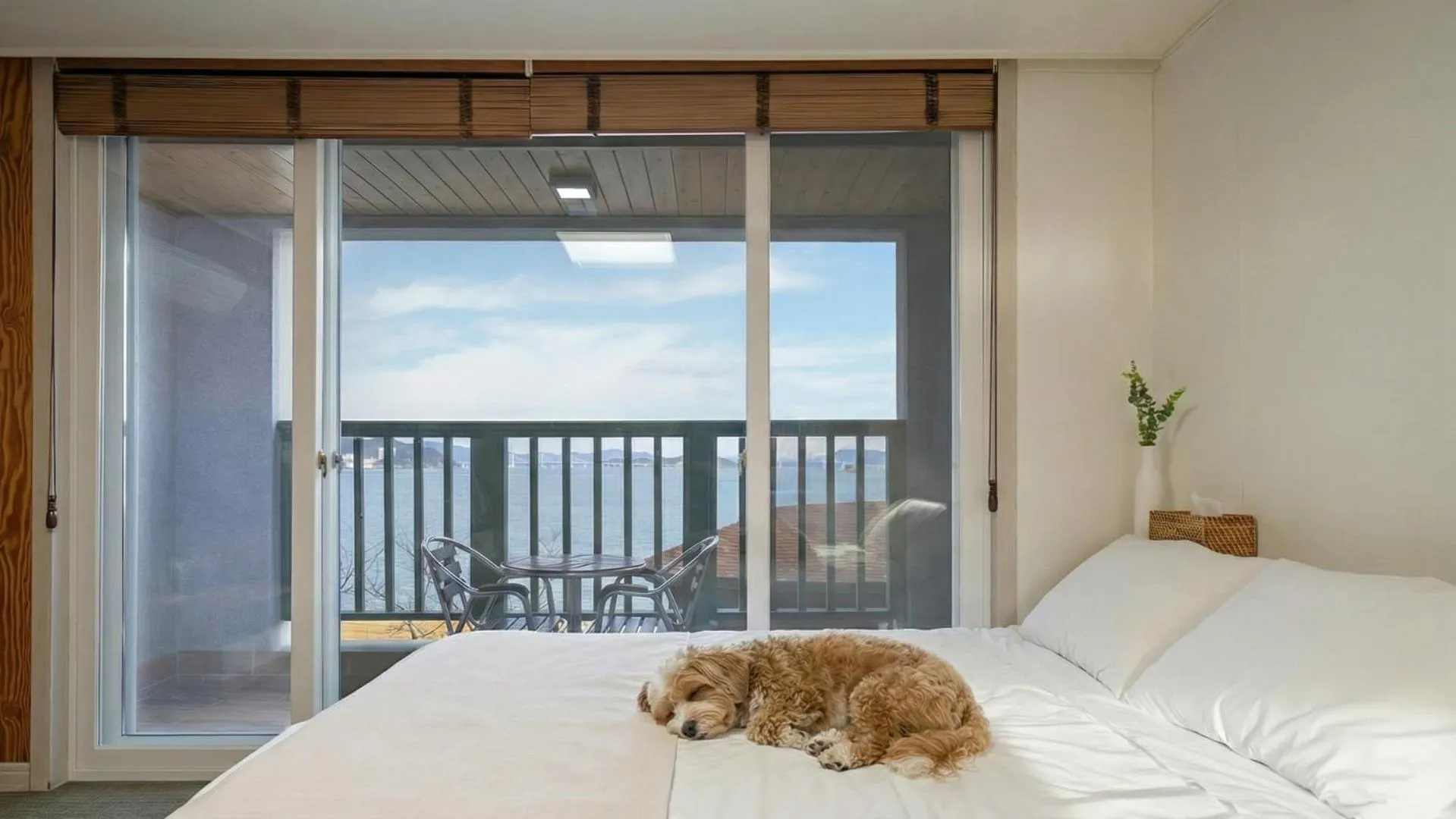 Property building, Bed in Geoje Beachwhite Pension