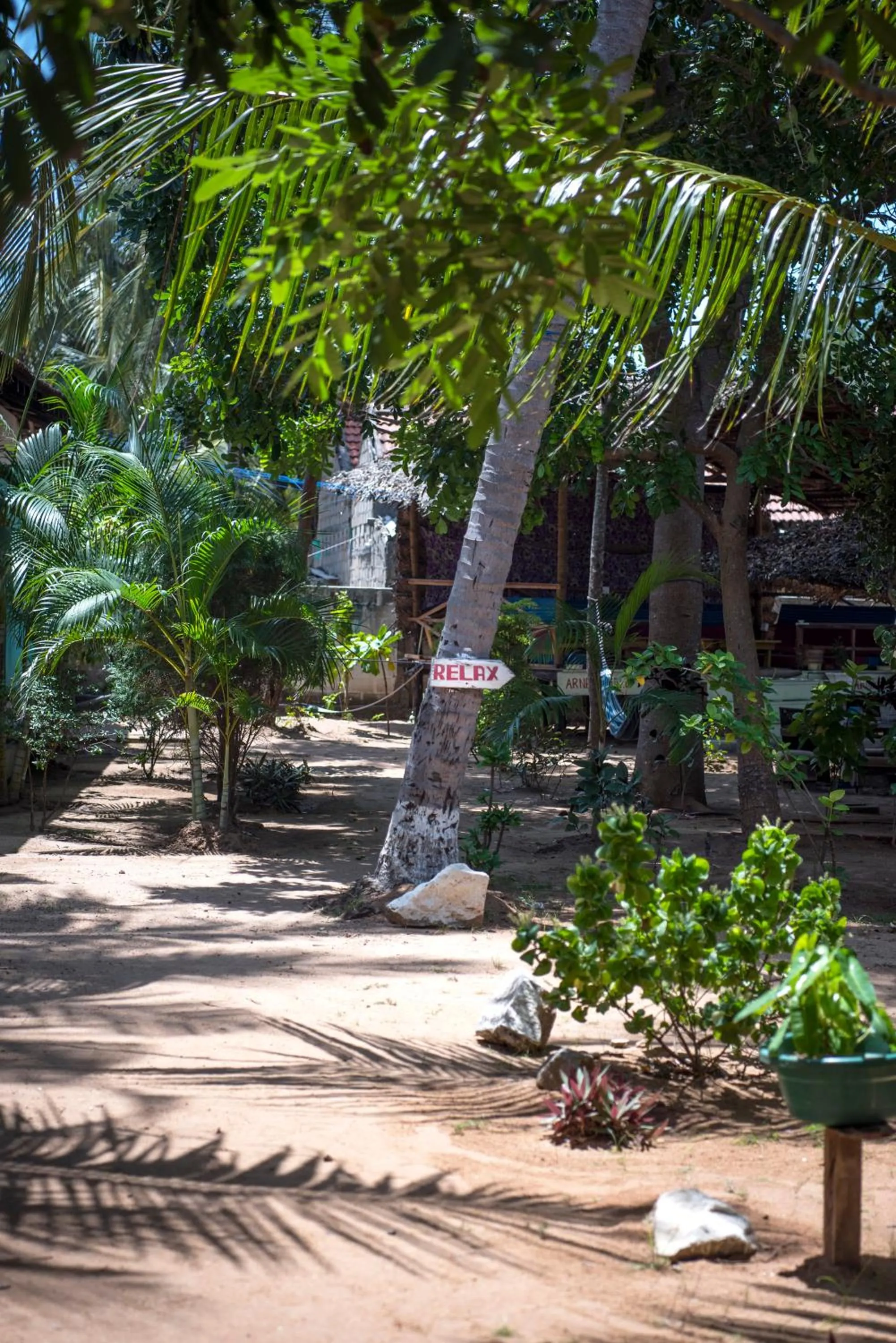 Garden in Arne's Place