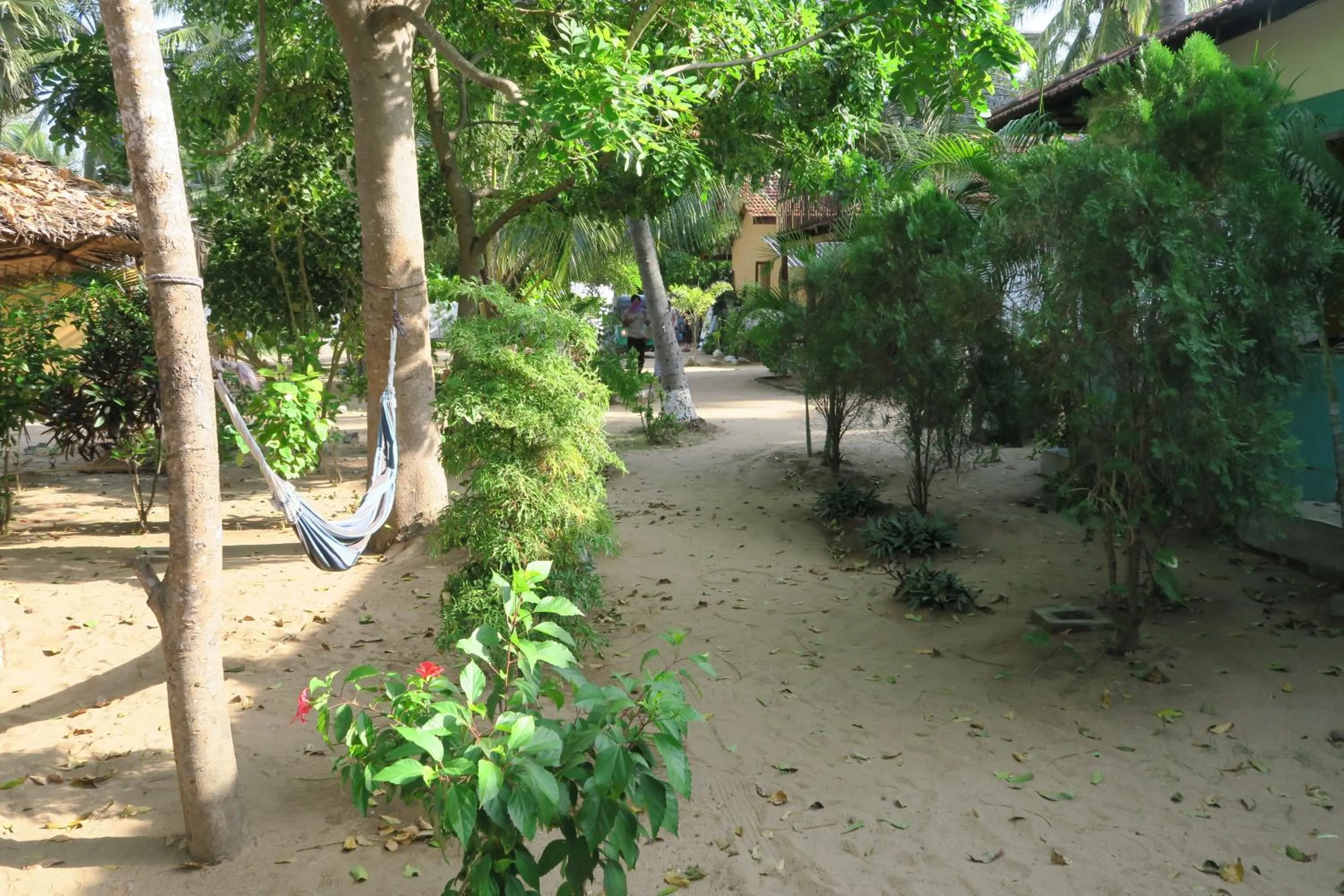 Garden in Arne's Place