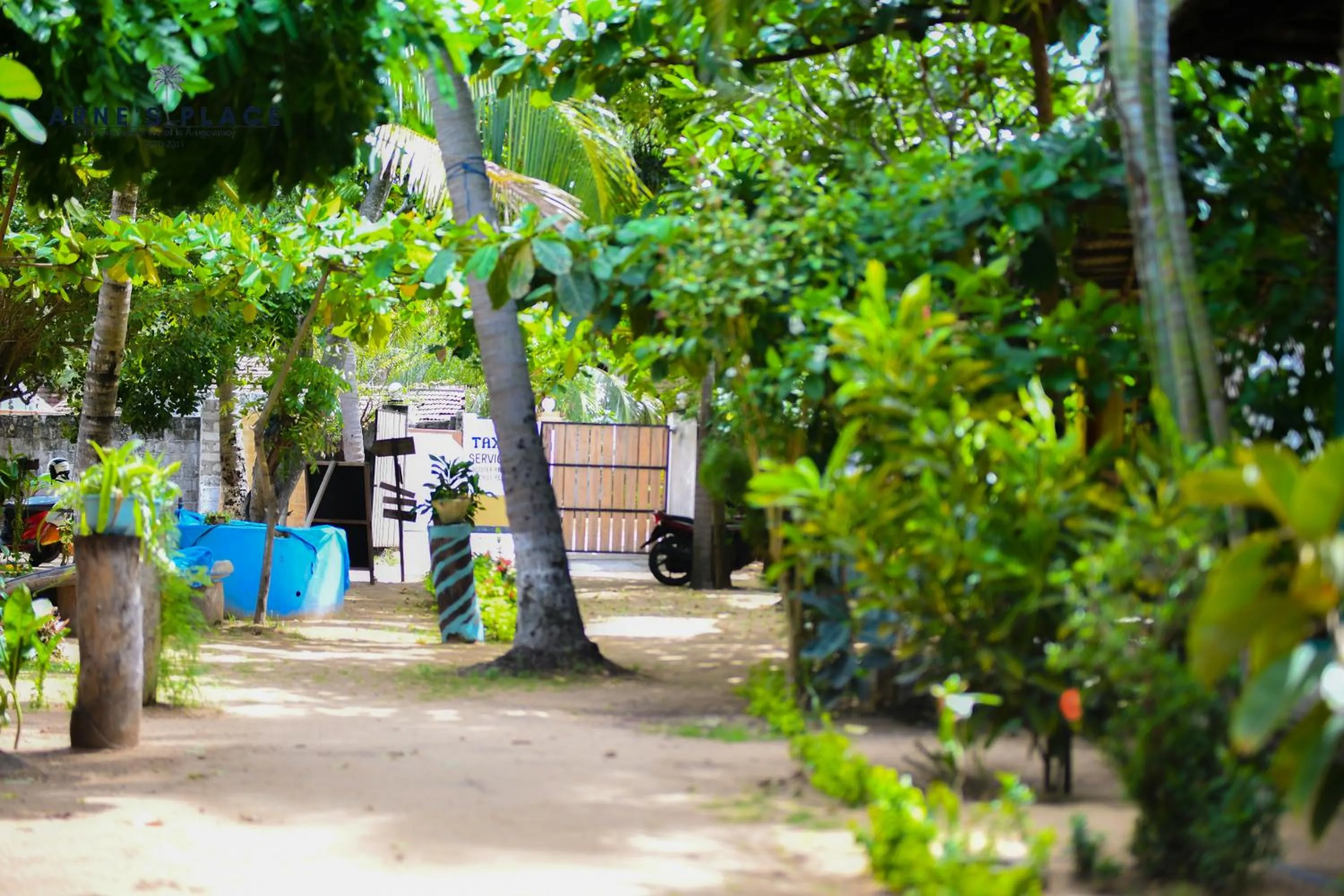 Natural landscape in Arne's Place