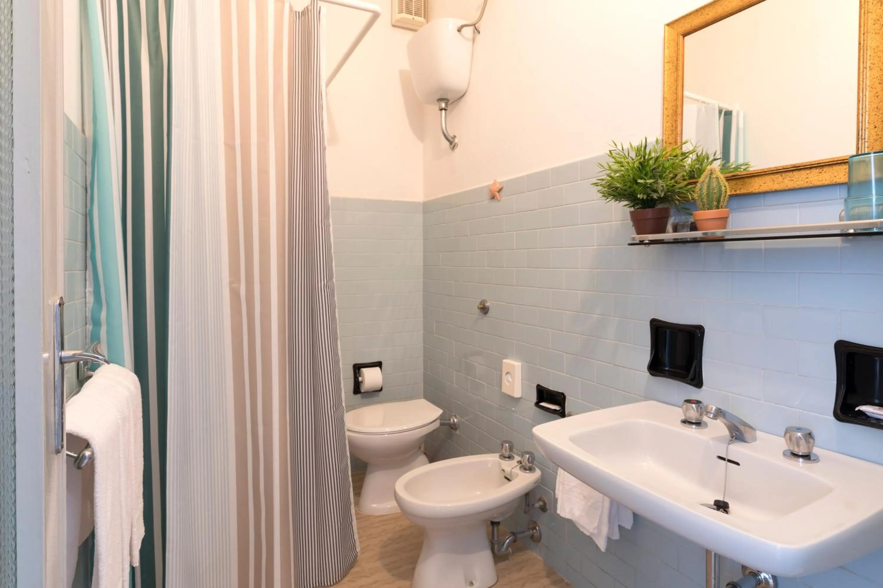 Other in Hotel Dinarica