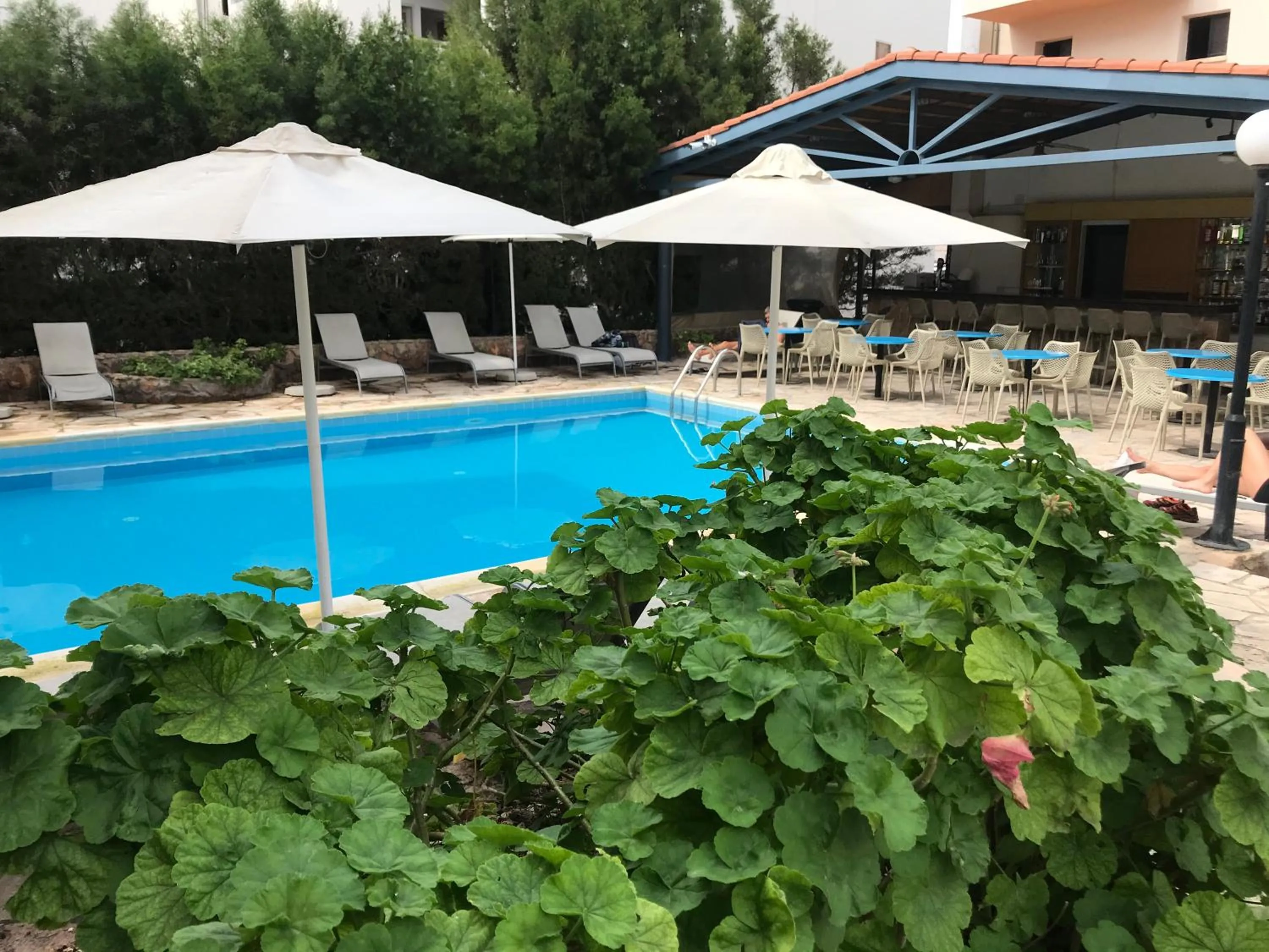 Swimming pool in New York Plaza Hotel Apartments
