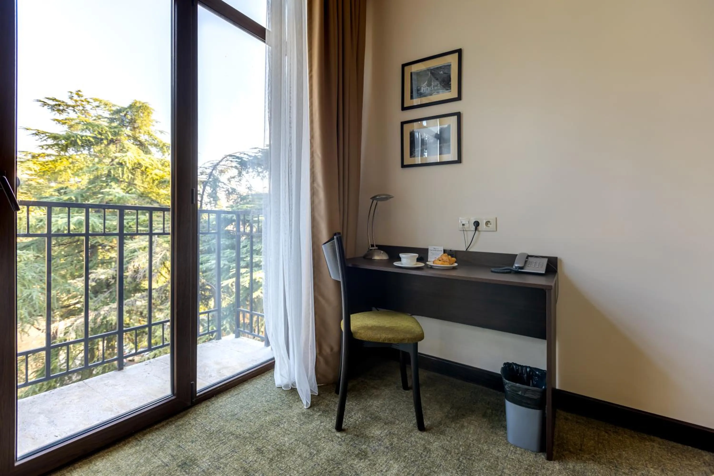 View (from property/room) in Citrus Hotel