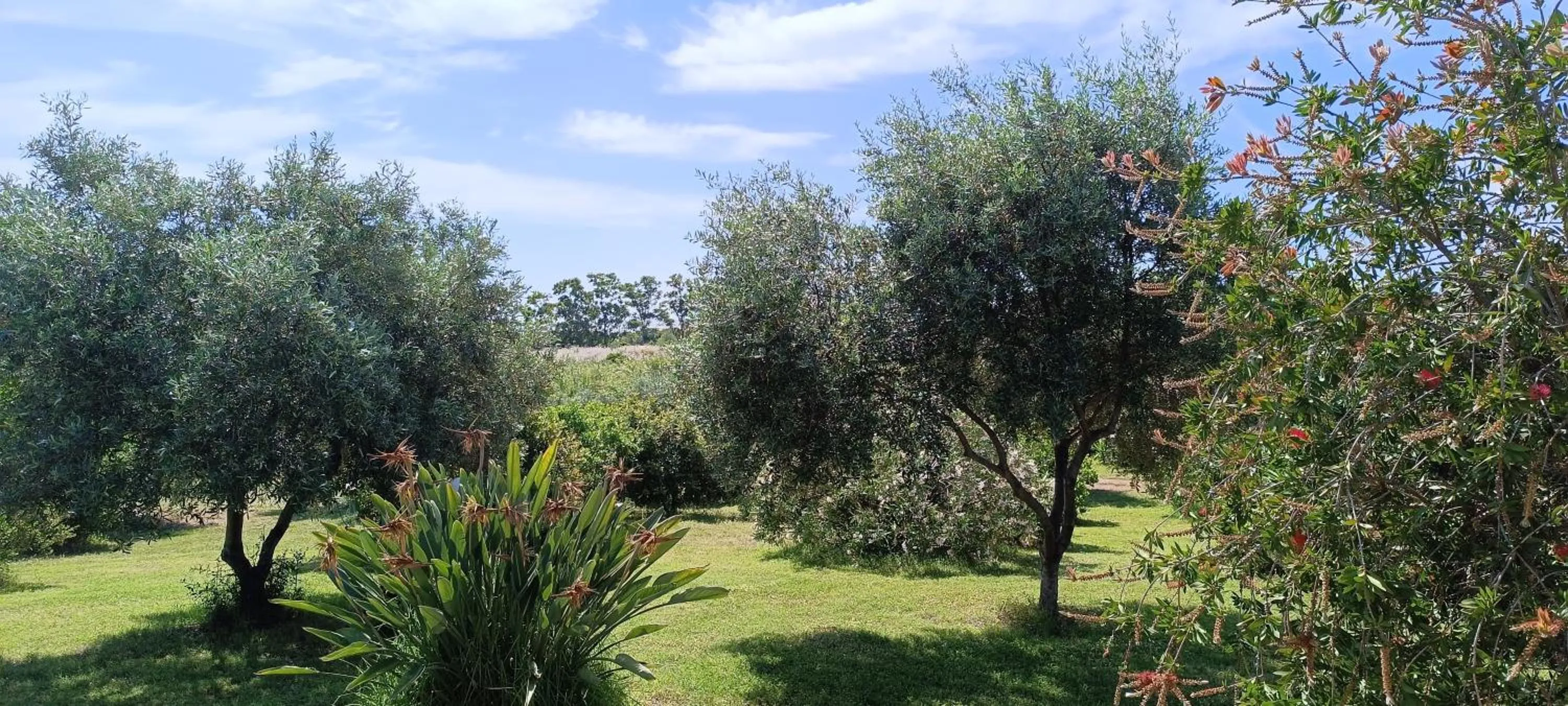 Sa Teria Village - Appartamenti -