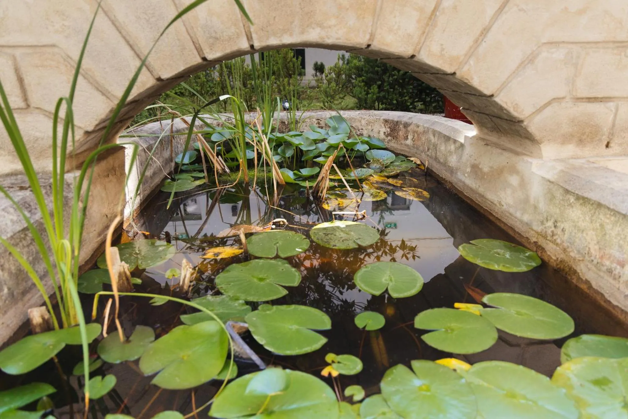 Breakfast in myNext - Johannesgasse Apartments