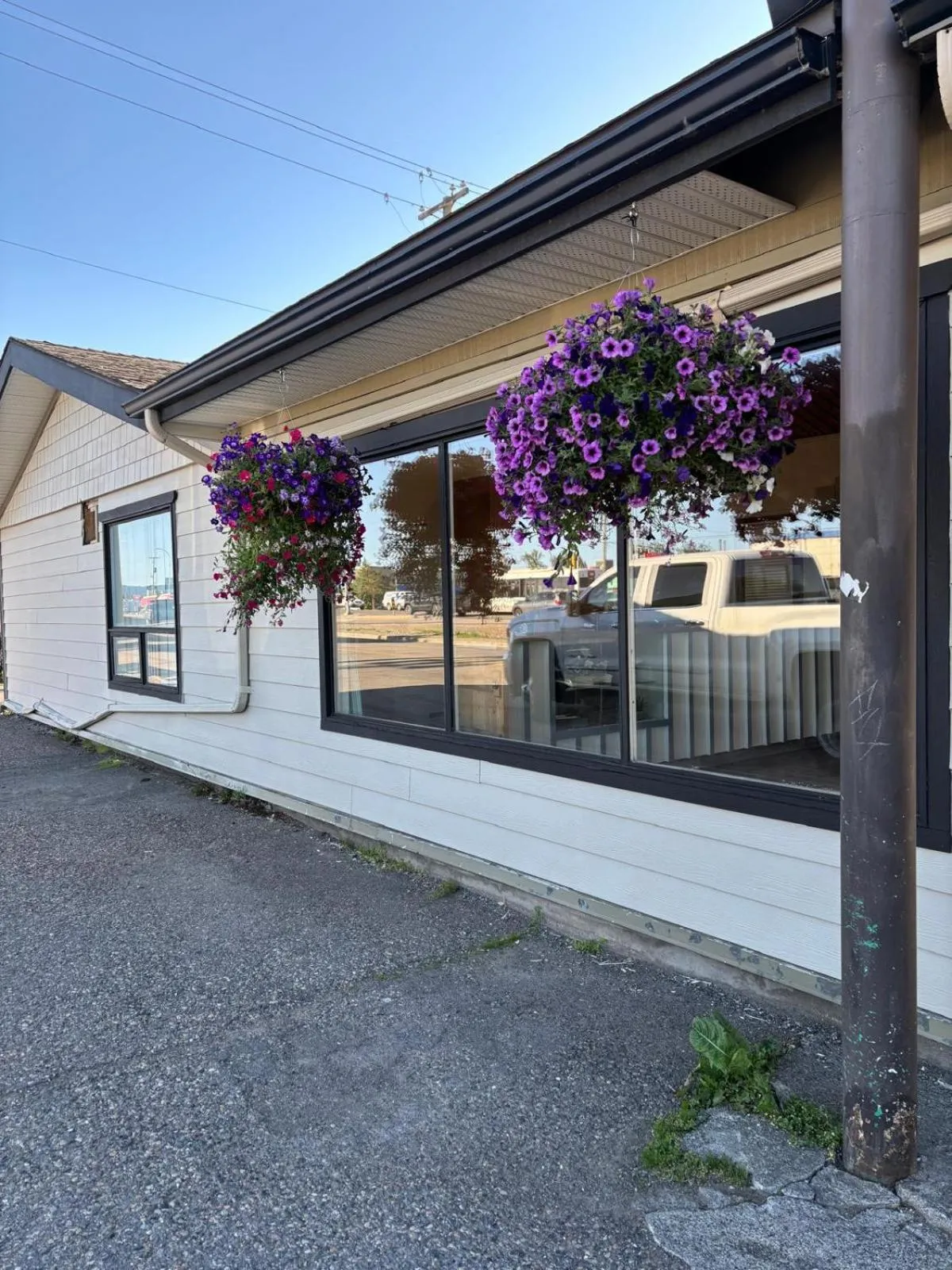 Spring in Camelot Court Motel