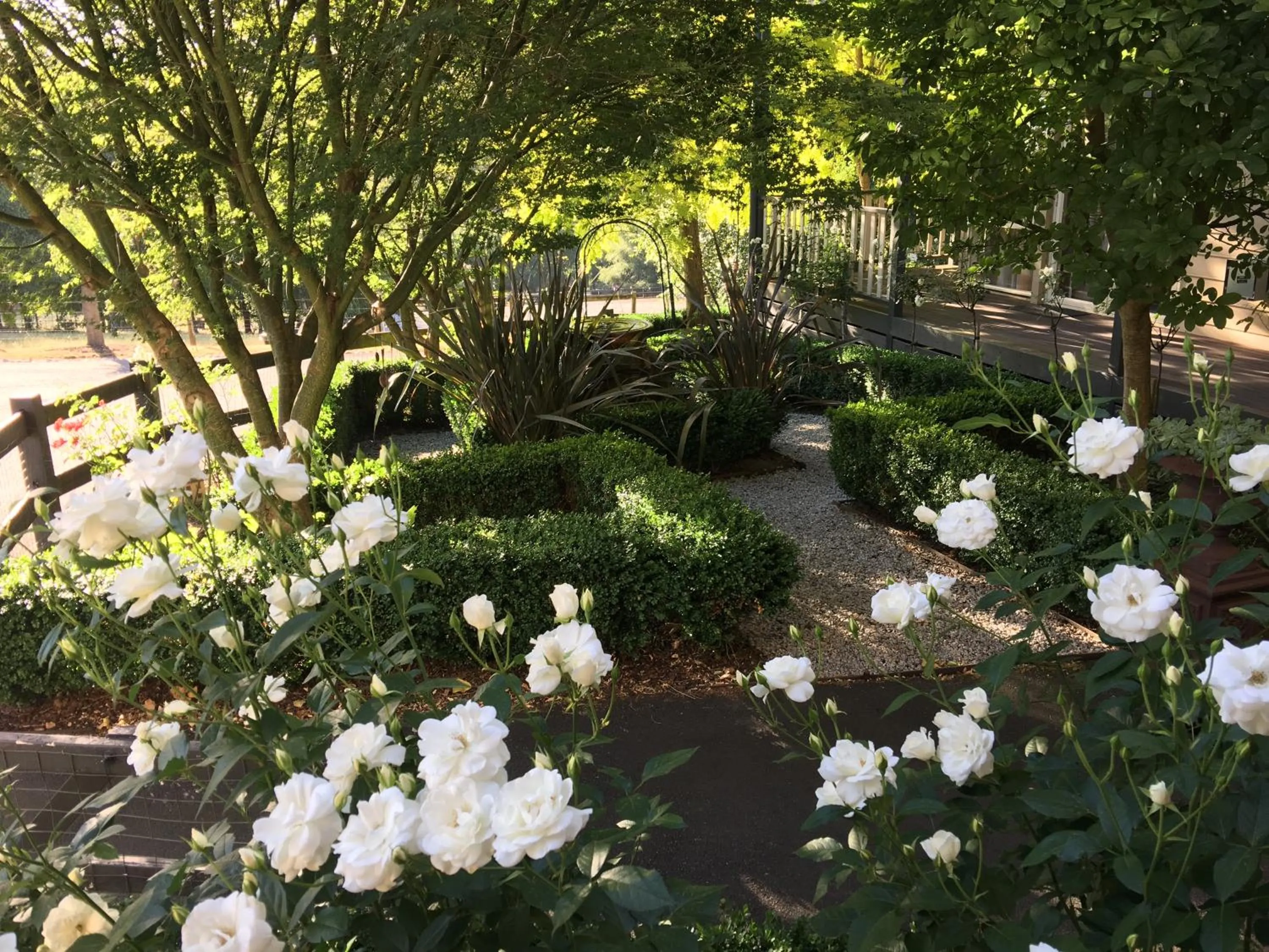Garden in Emerald Ridge