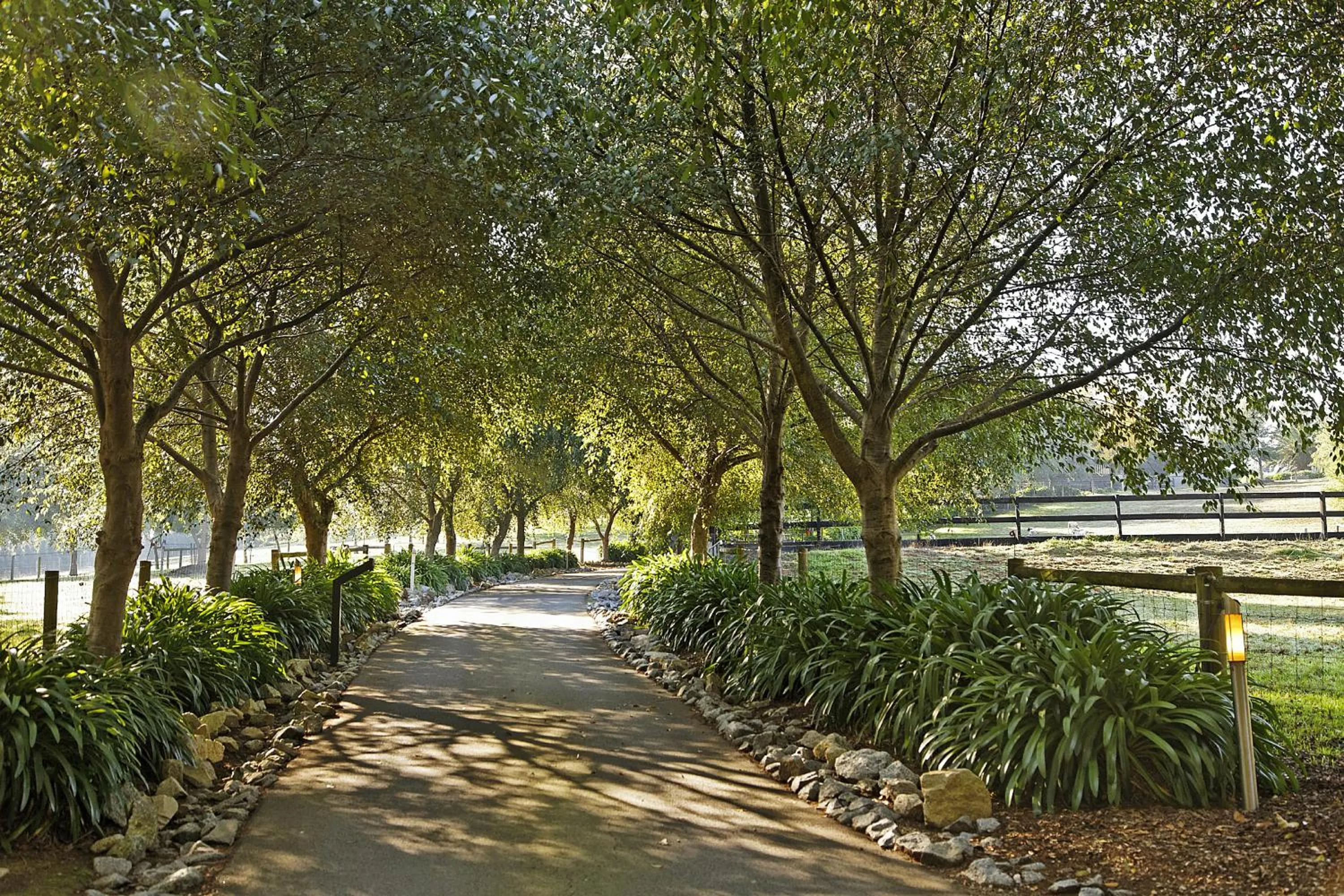 Natural landscape in Emerald Ridge