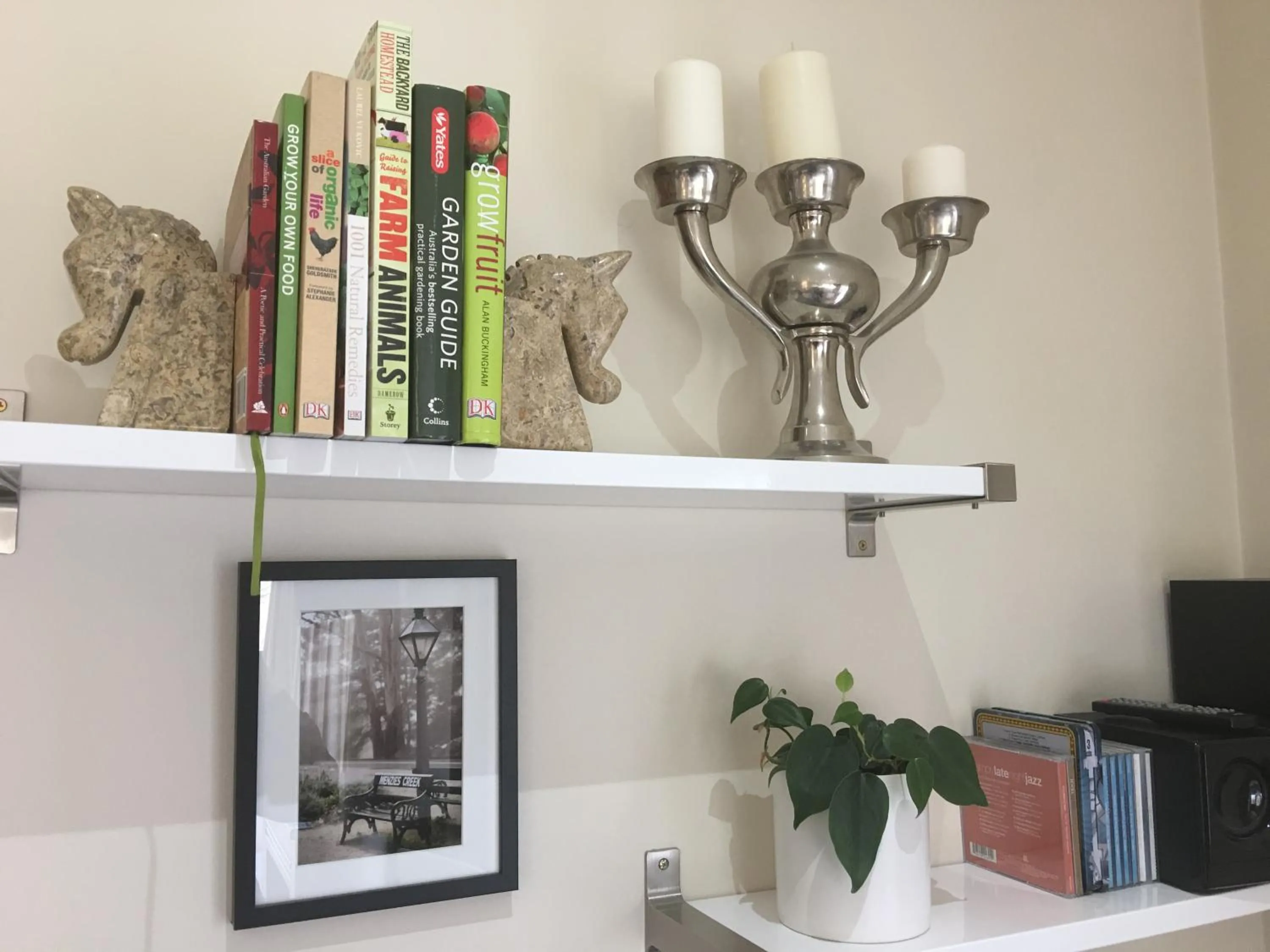 Library in Emerald Ridge