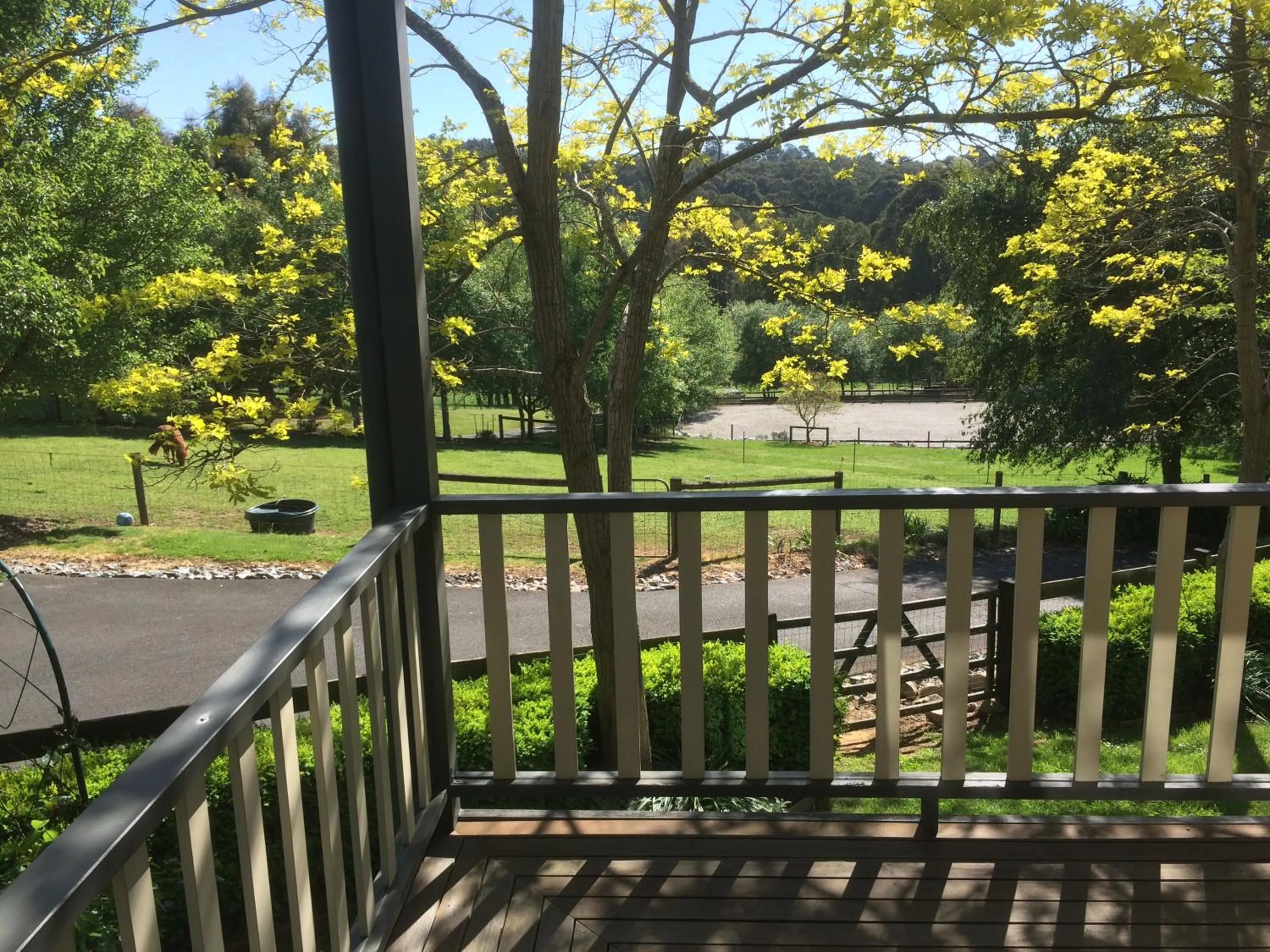 Garden in Emerald Ridge