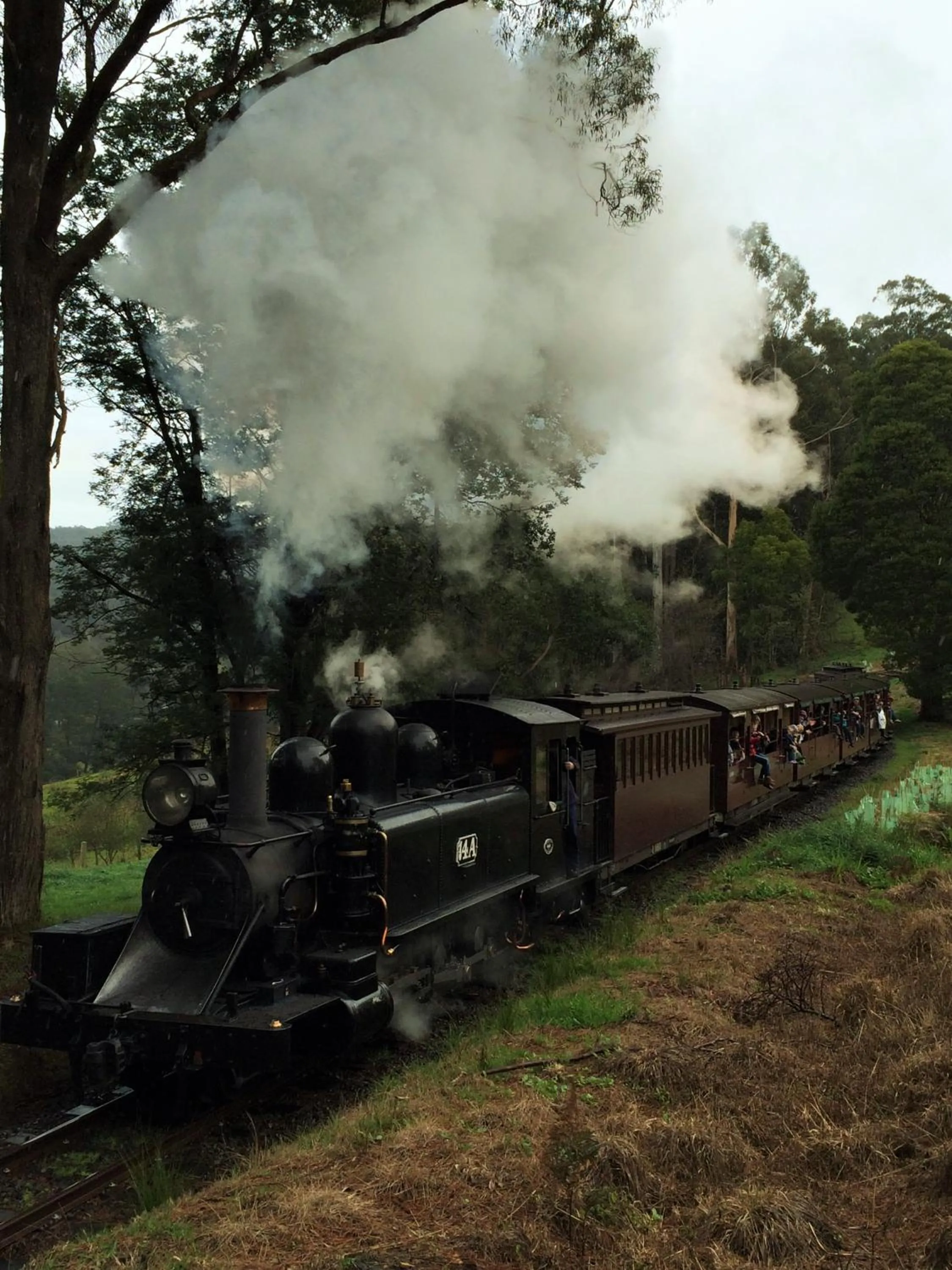 Entertainment in Emerald Ridge