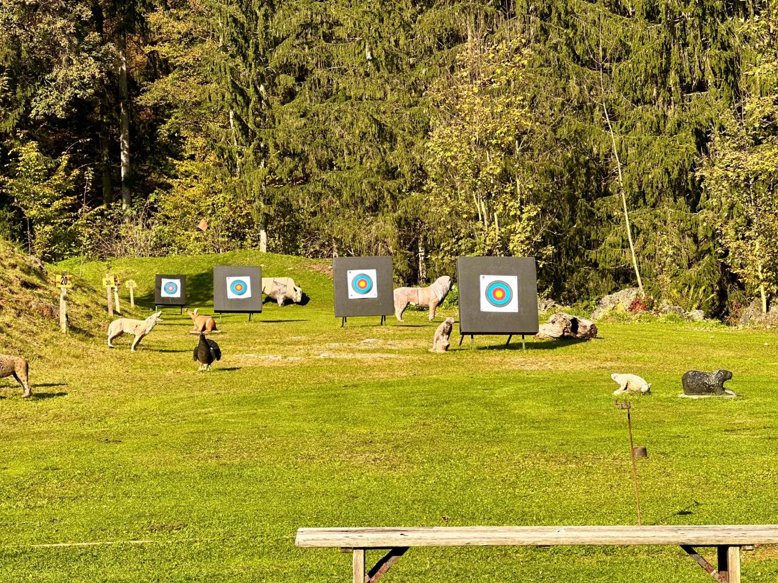 Activities in Der Trattner - Hotel Trattnerhof & Hotel Schöcklblick
