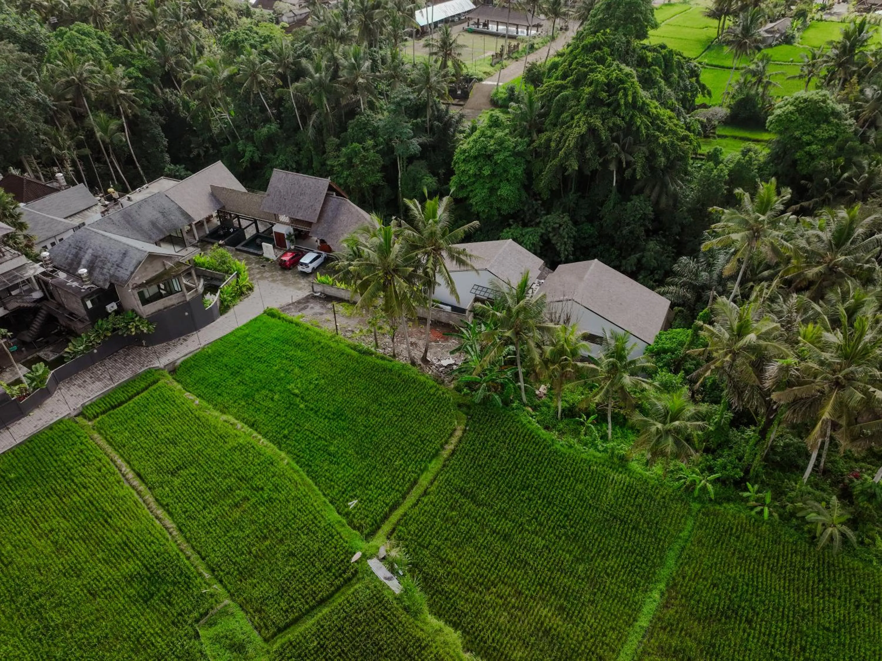 View (from property/room) in Adiwana Unagi Riverfront
