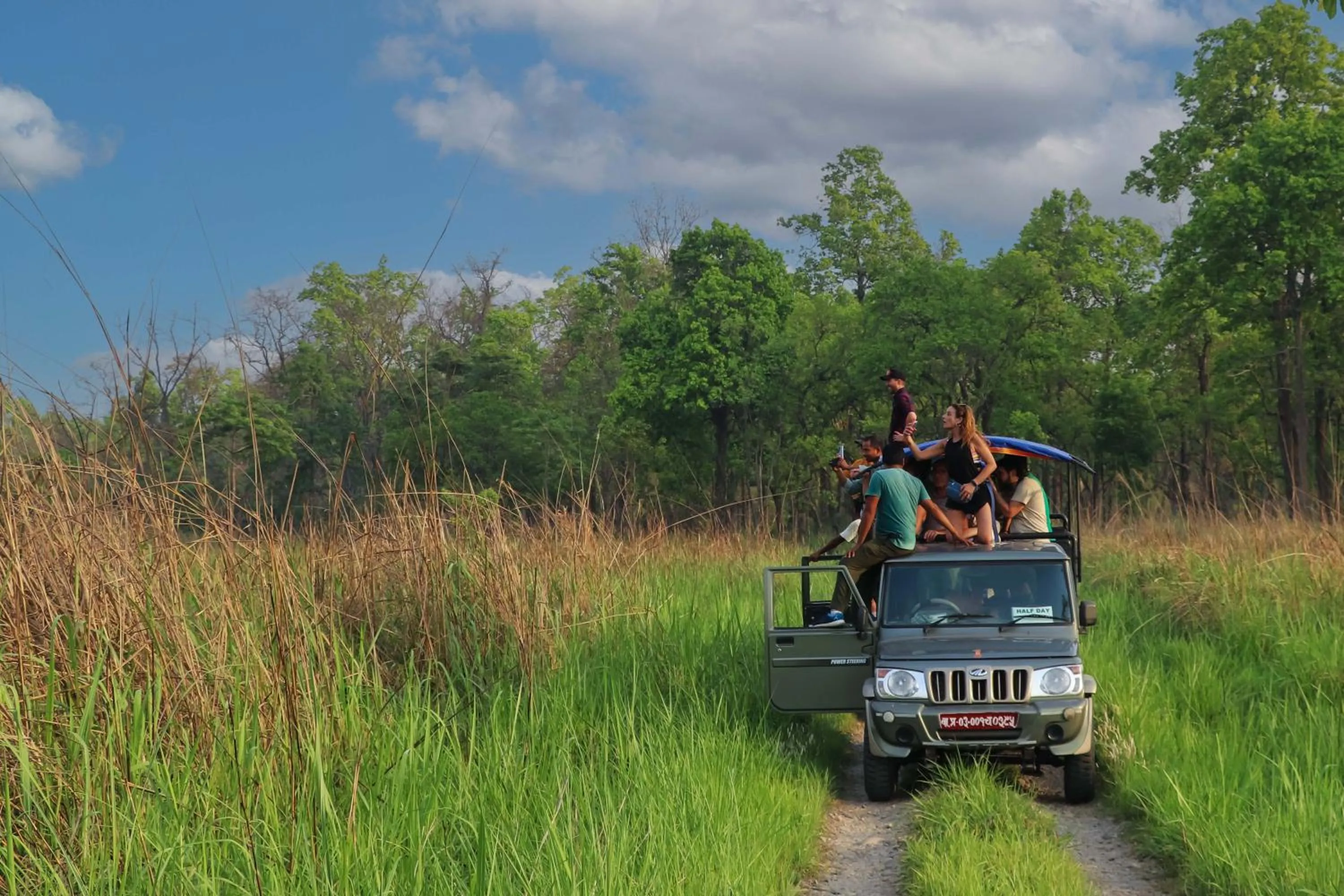 Activities in Hotel Yatra Sauraha Pvt Ltd