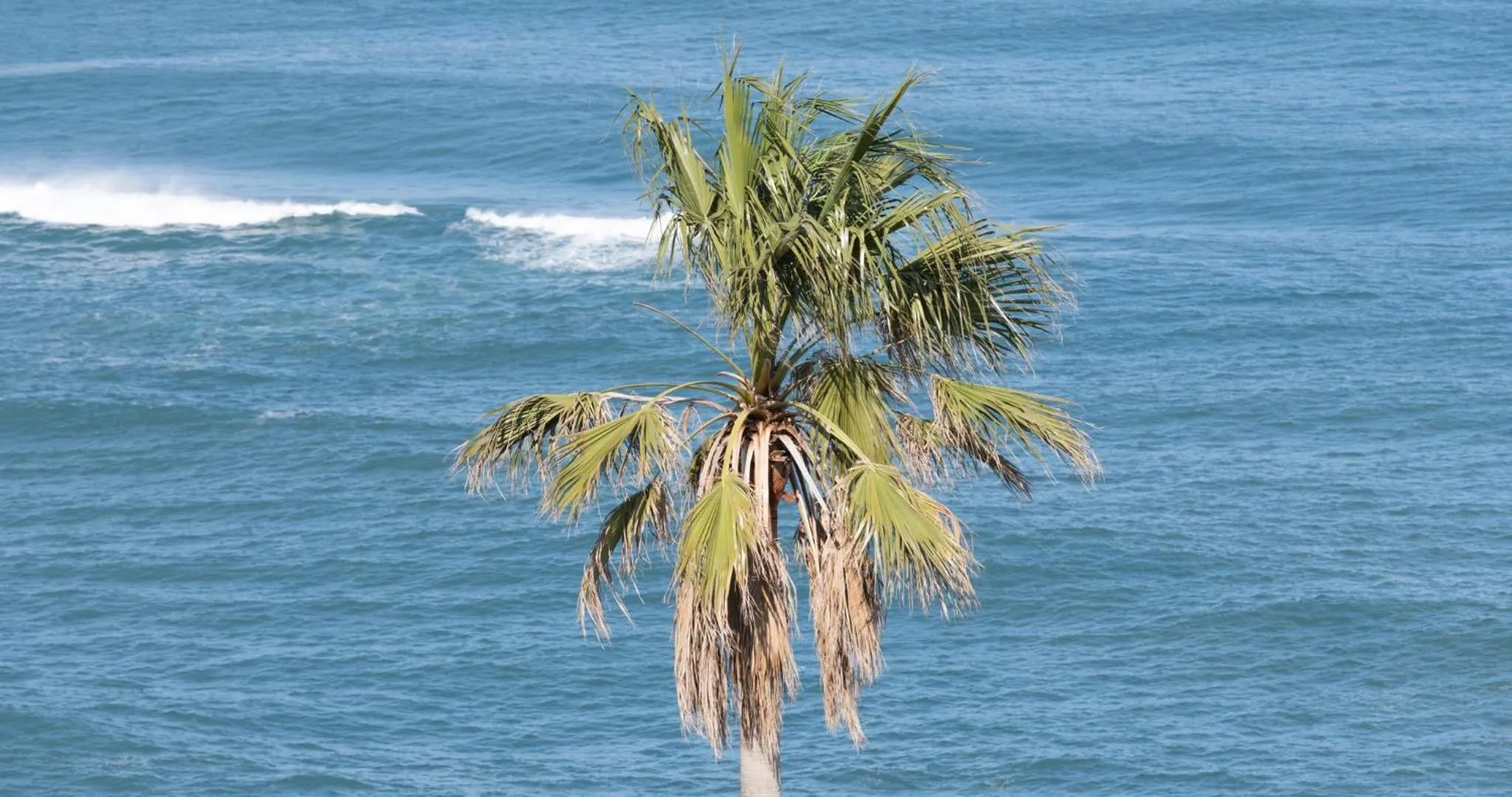 Off site in Hotel SEASONS NICHINAN