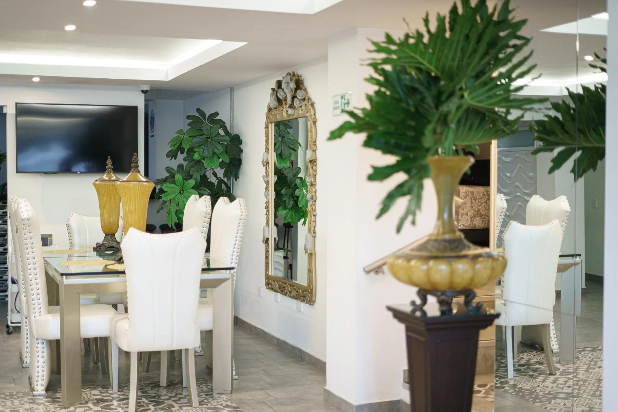 TV and multimedia in Recovery house by Zenya Host