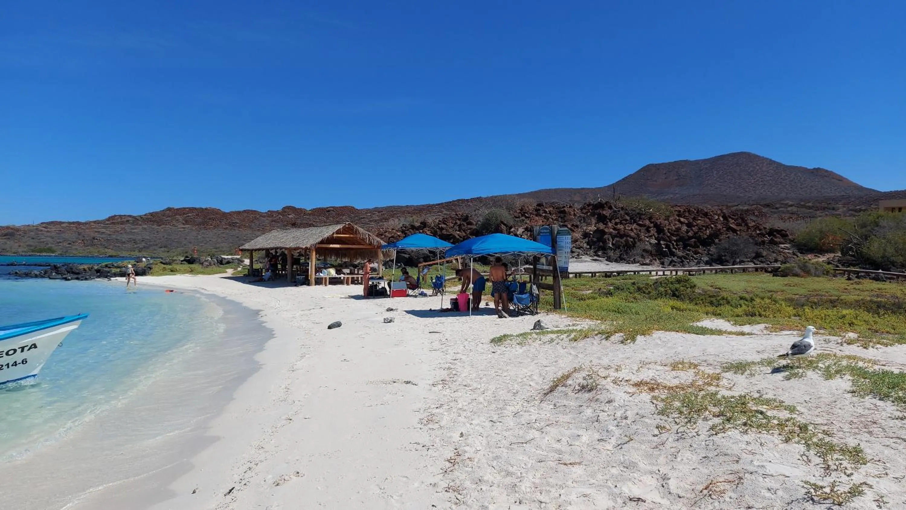 Natural landscape in Hotel Loreto Palmar