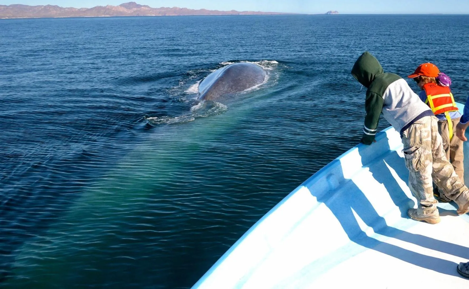 People in Hotel Loreto Palmar