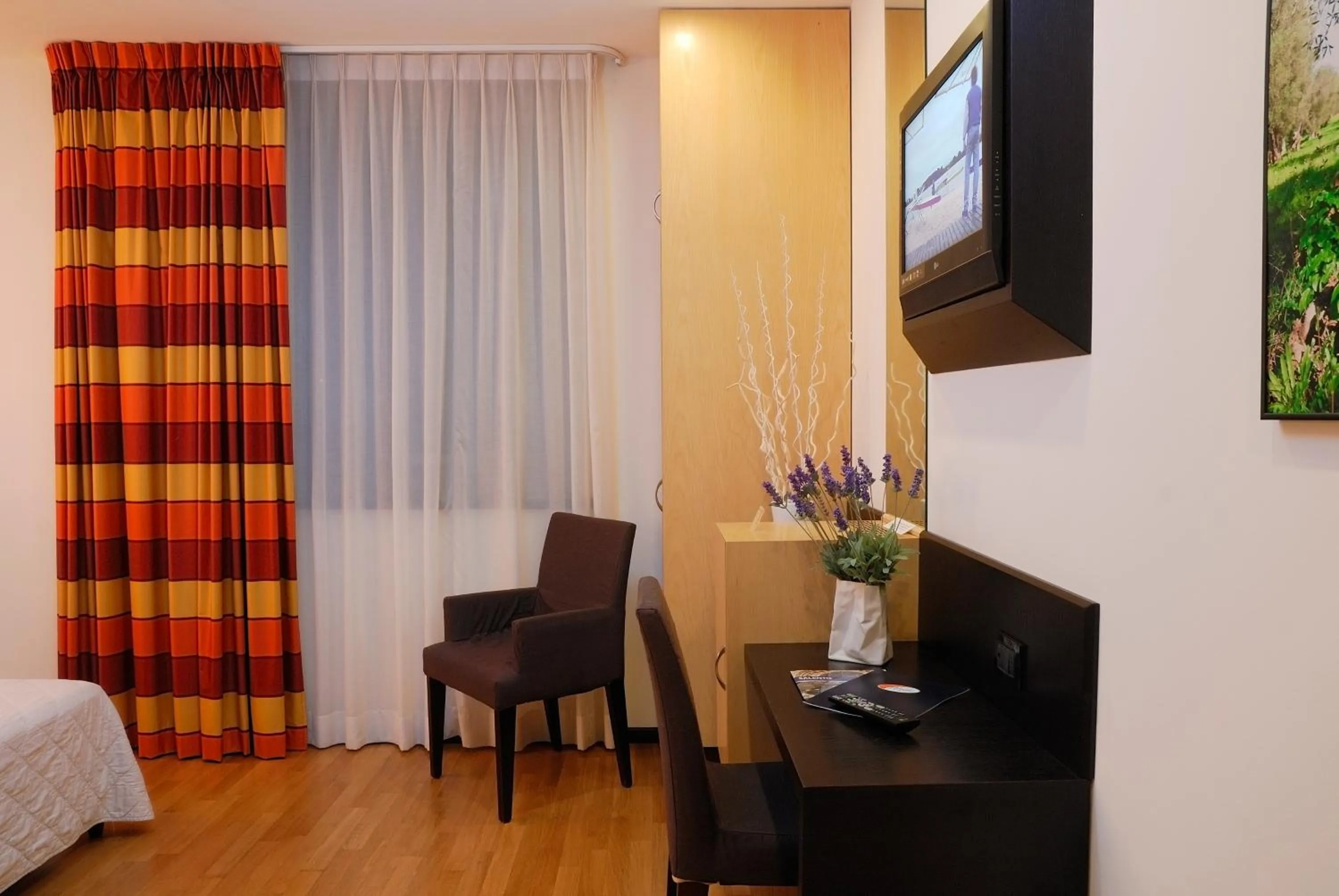 TV and multimedia in Sanlu Hotel