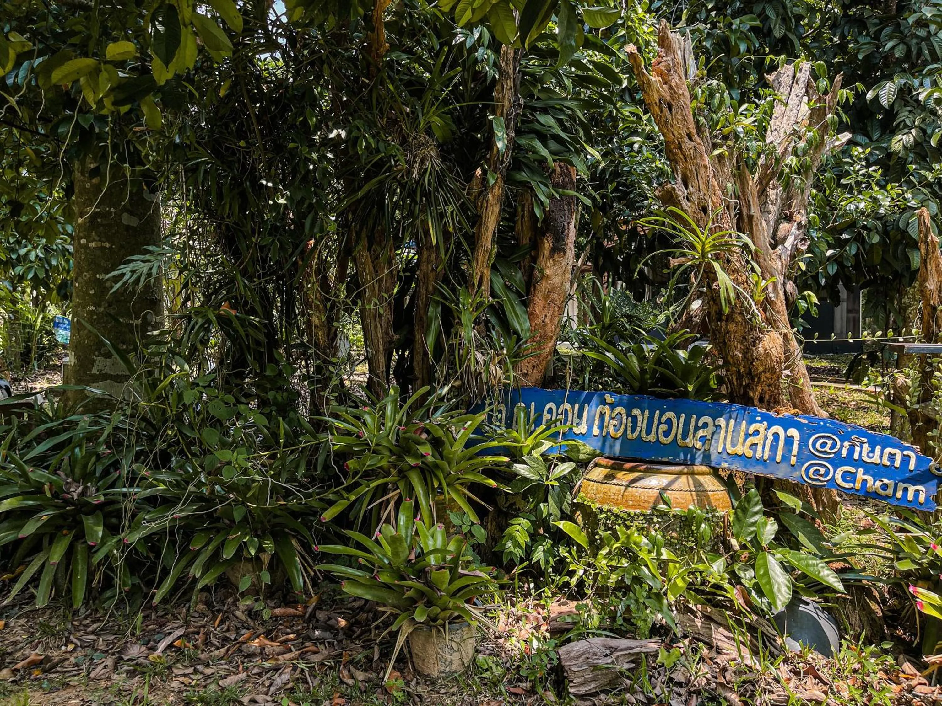 Property building in Kanta Hill Resort