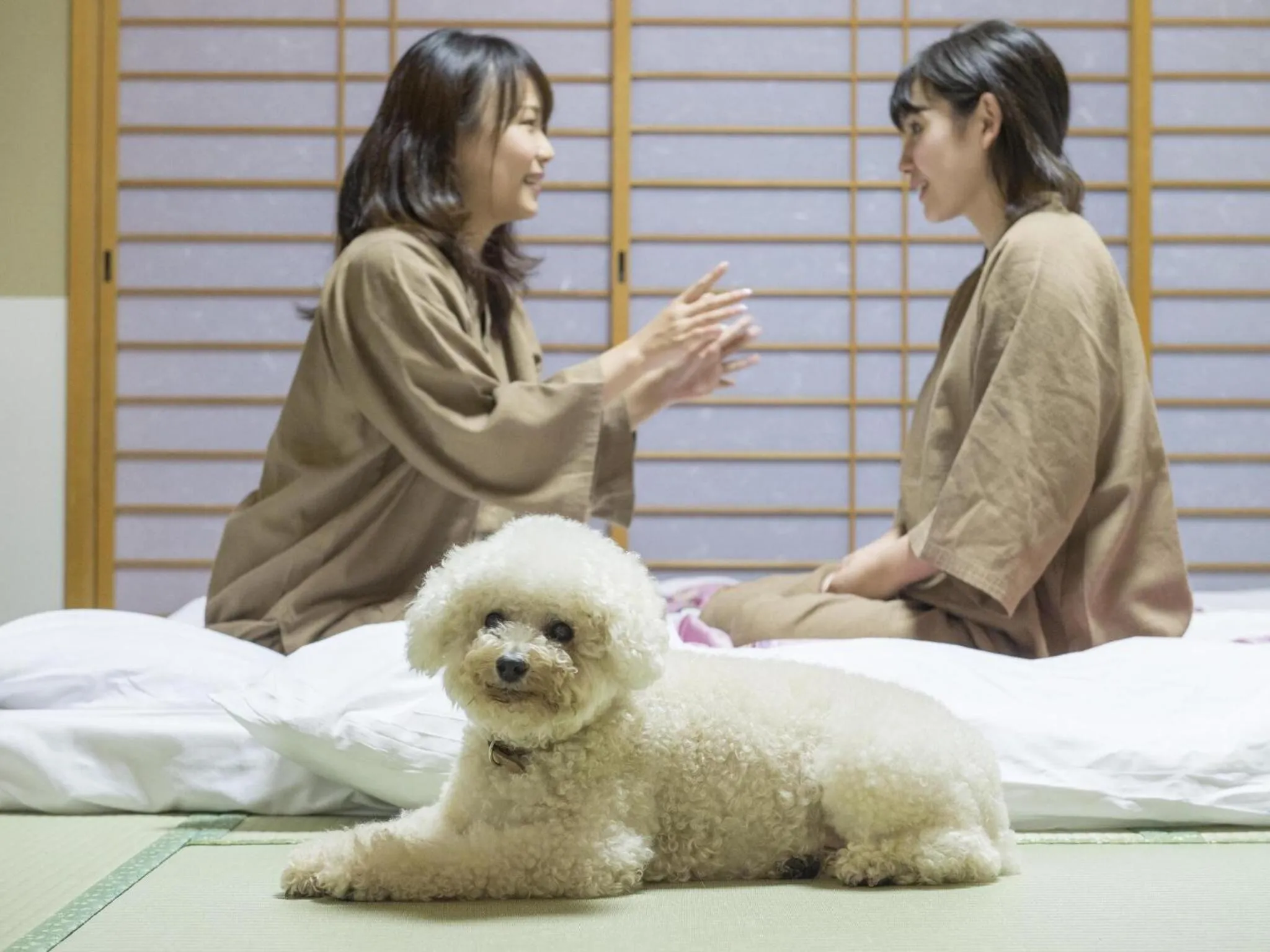 Pets in Matsusaka Wan Wan Paradise Forest Hotel