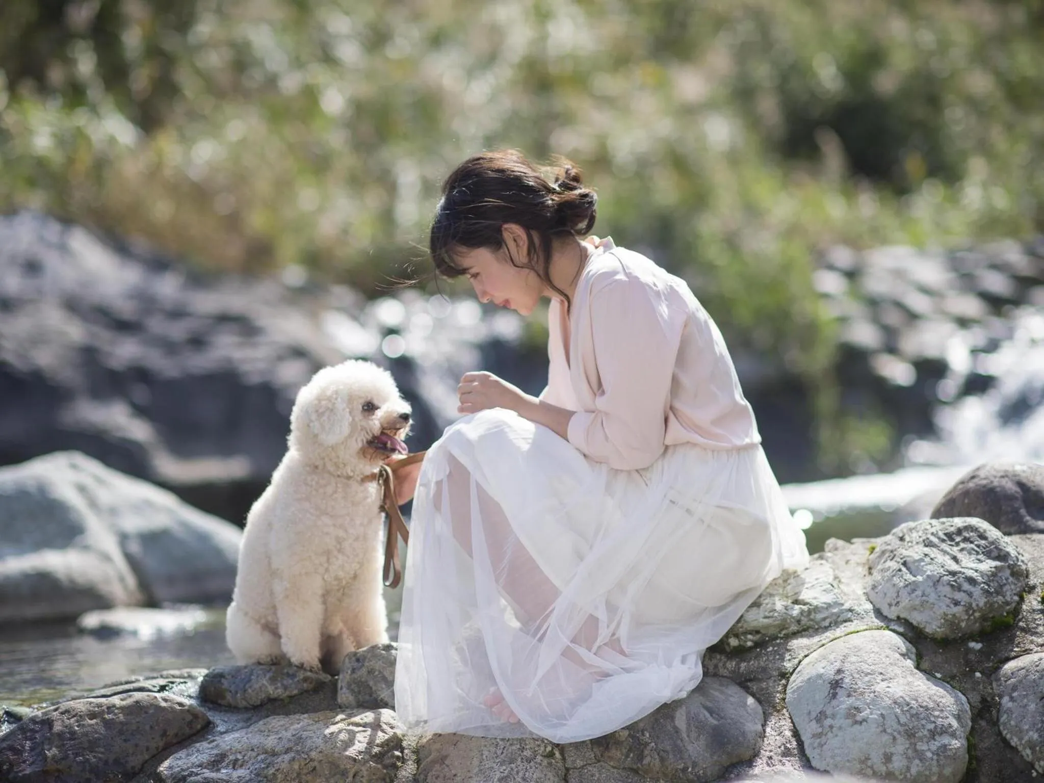 Natural landscape in Matsusaka Wan Wan Paradise Forest Hotel