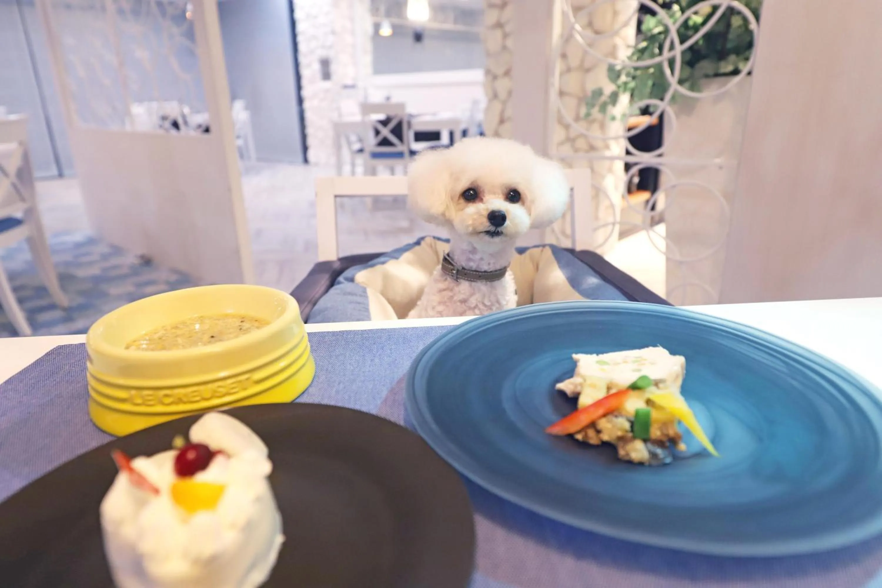 Restaurant/places to eat in Wan's Resort Jogasaki