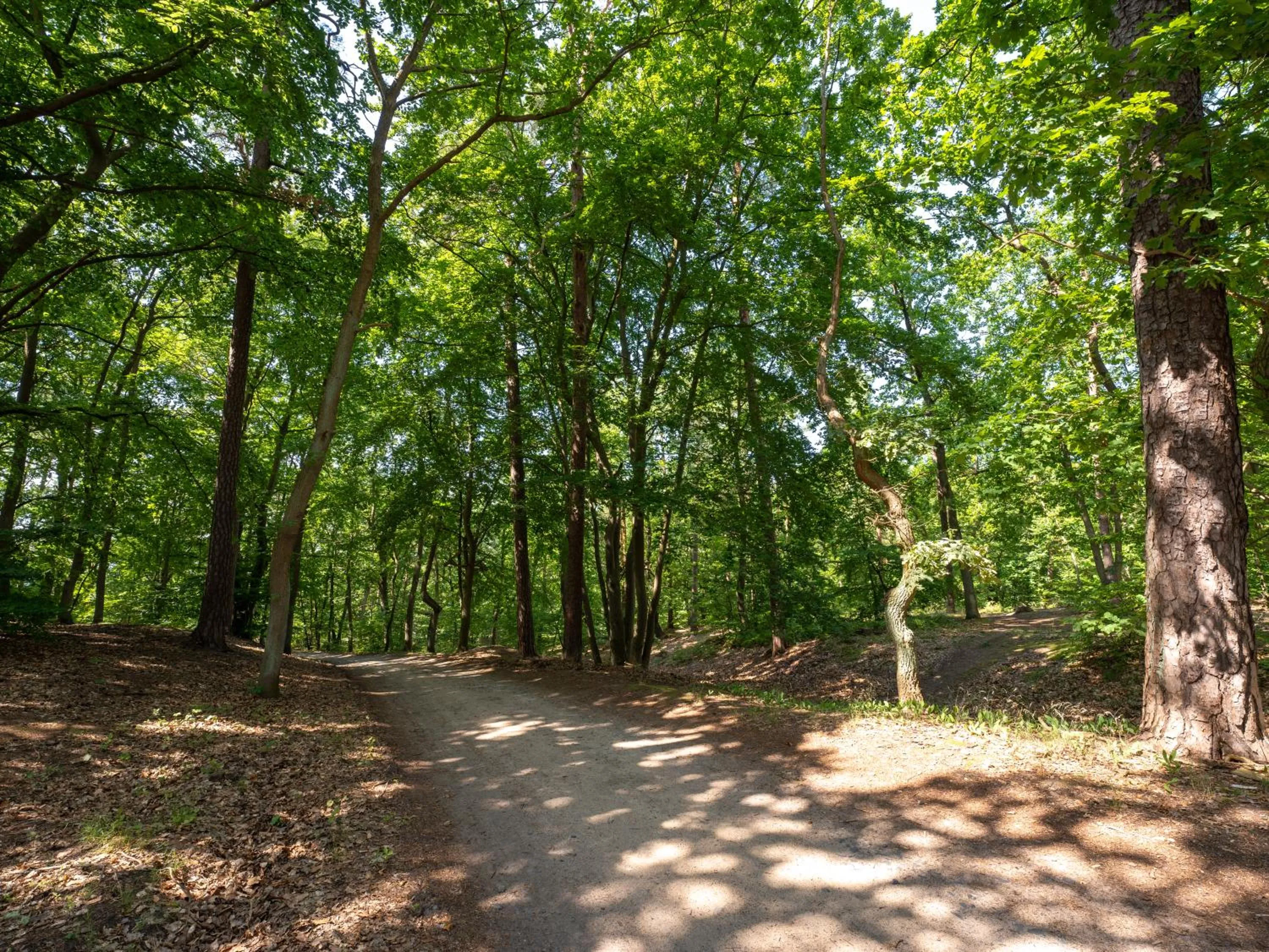 Day in Sea & Forest Resort Międzyzdroje
