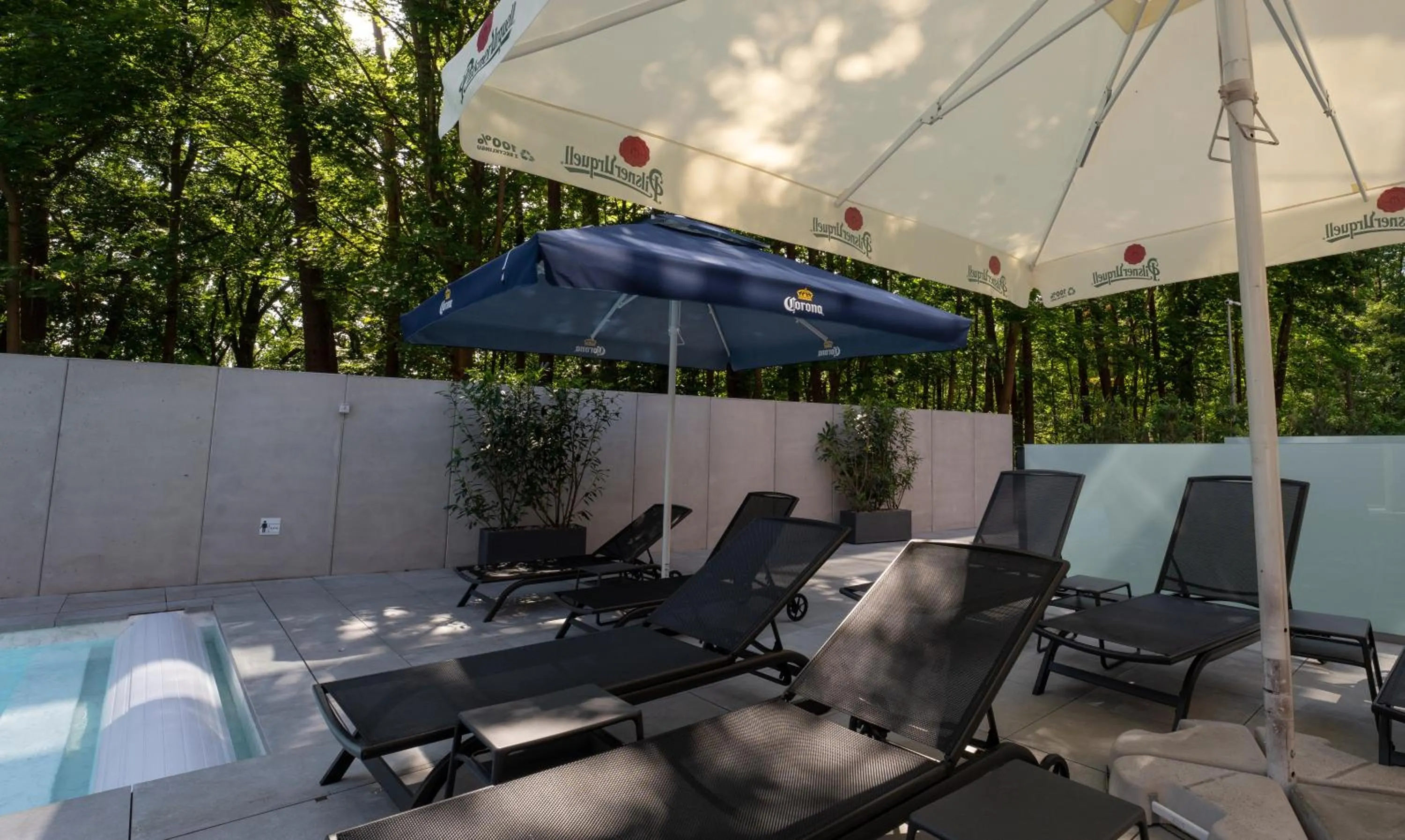 Day in Sea & Forest Resort Międzyzdroje