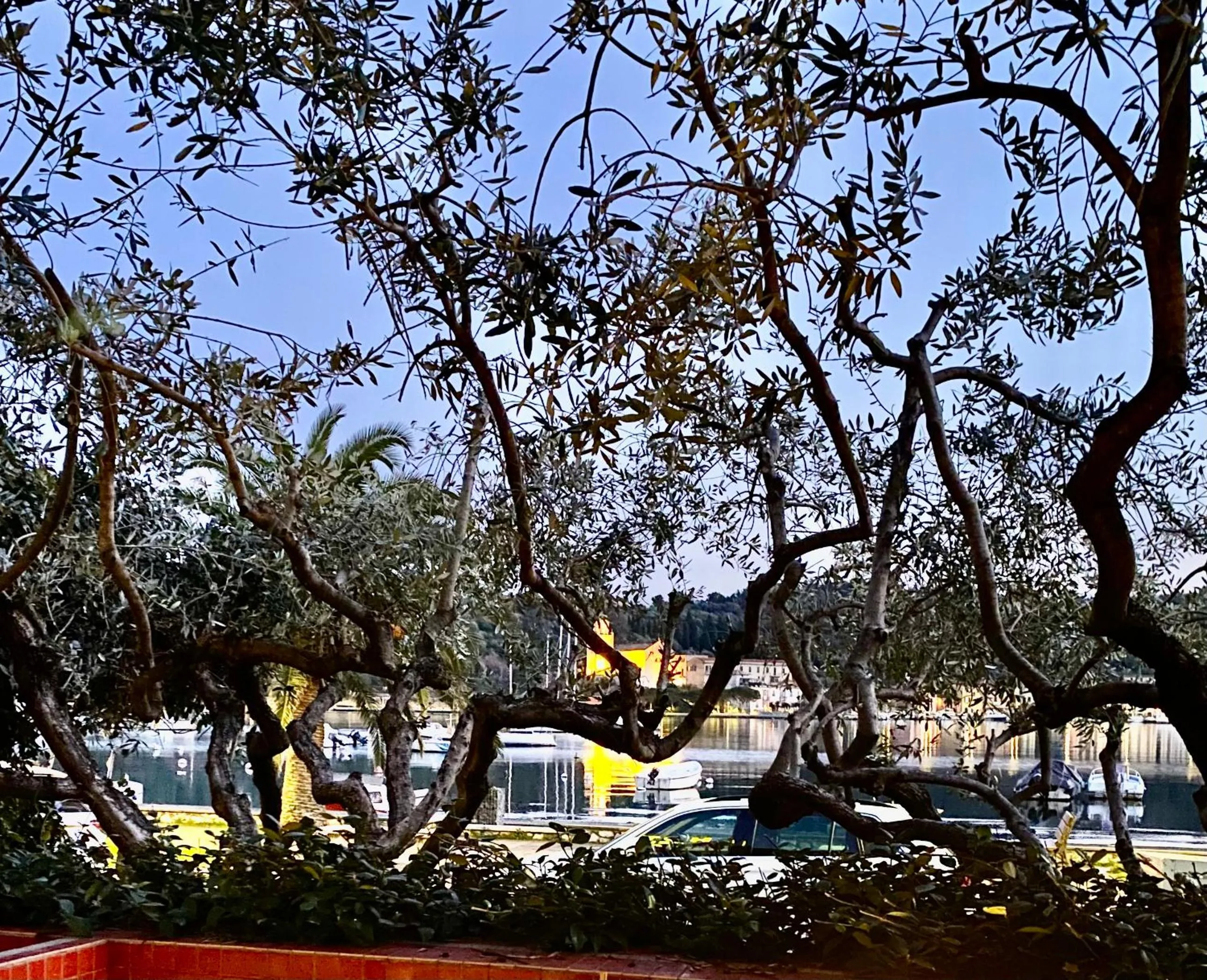 View (from property/room) in Hotel Della Baia