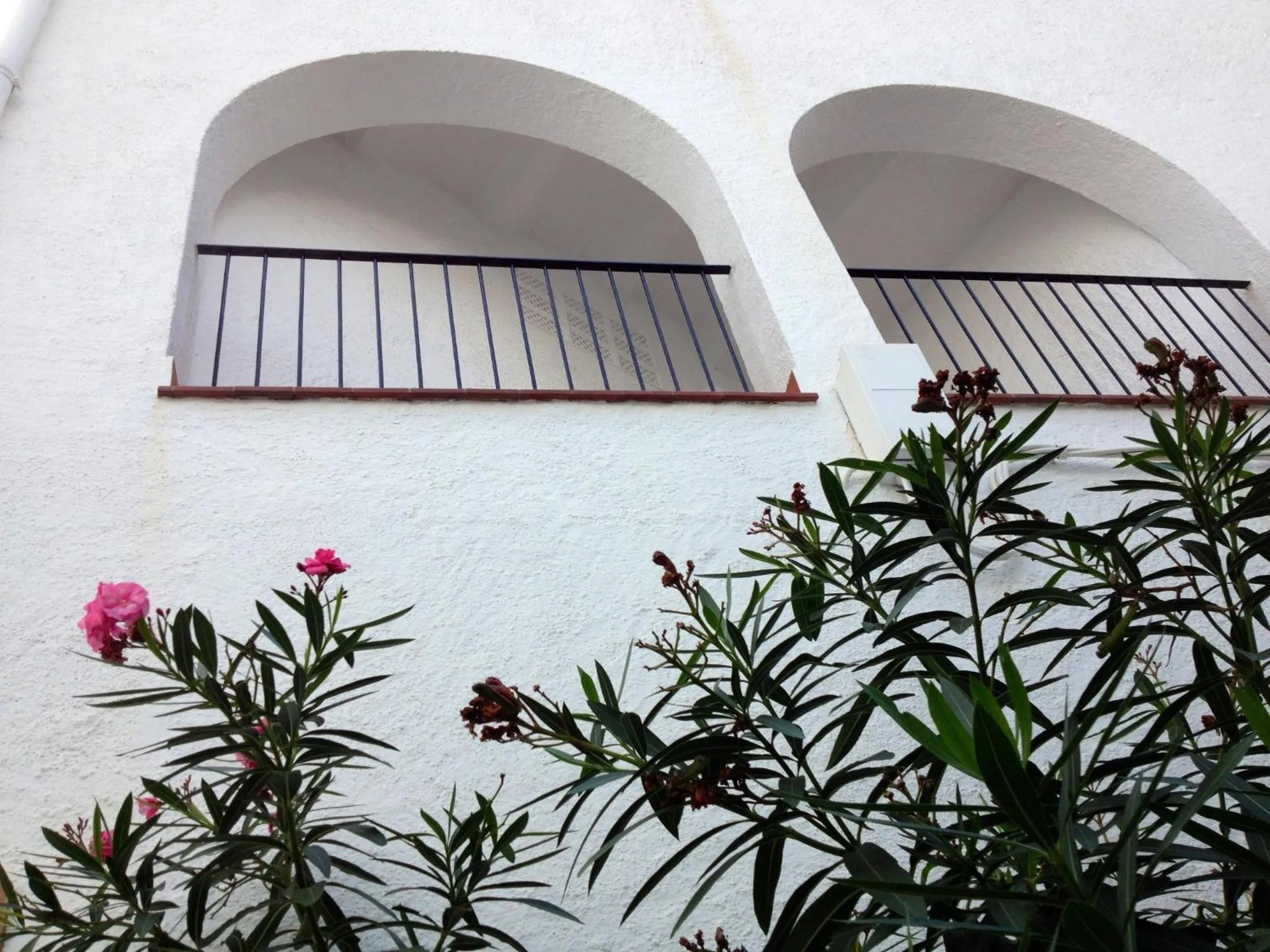 Facade/entrance in Hotel Ubaldo