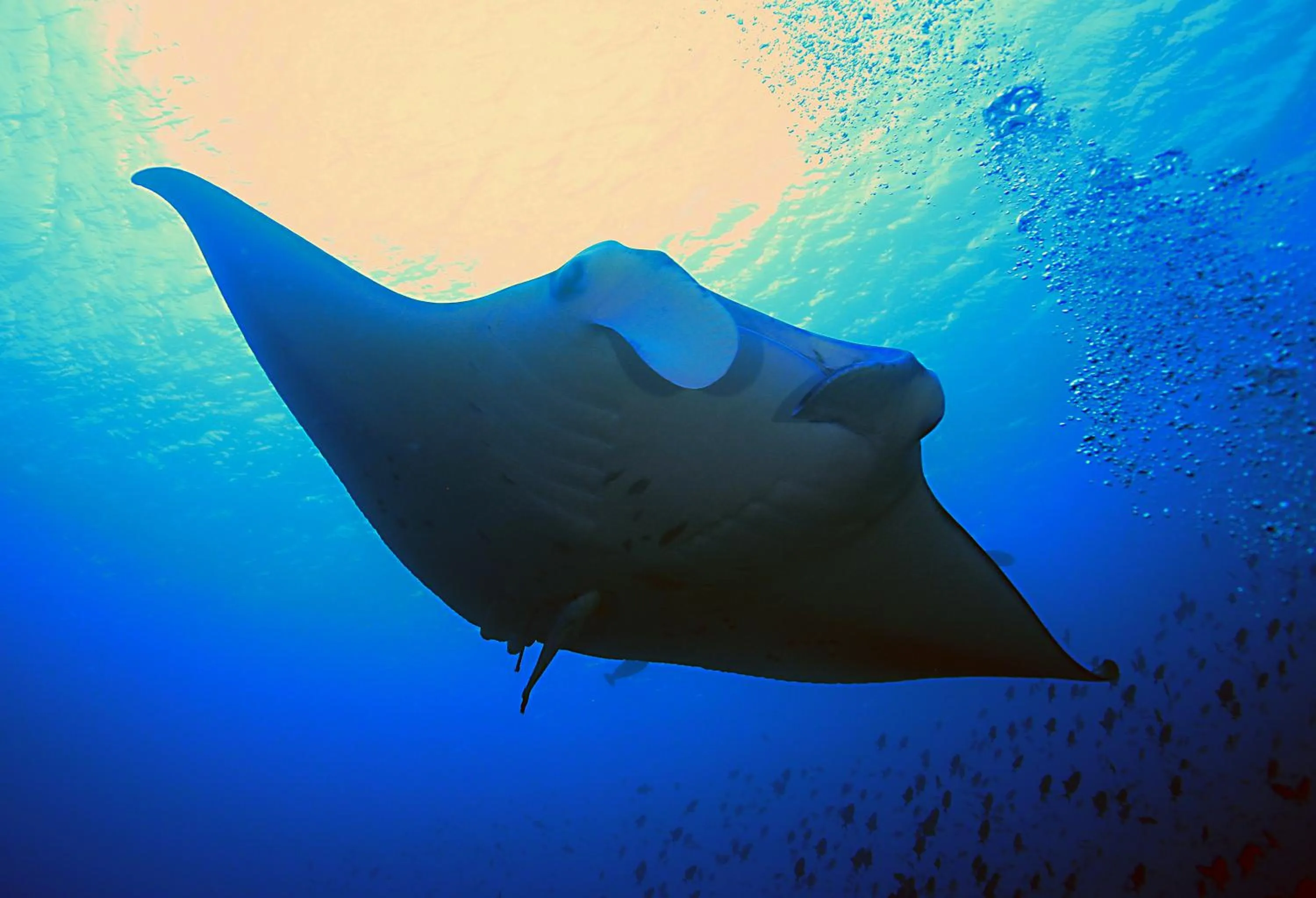 Activities in Palm Residence