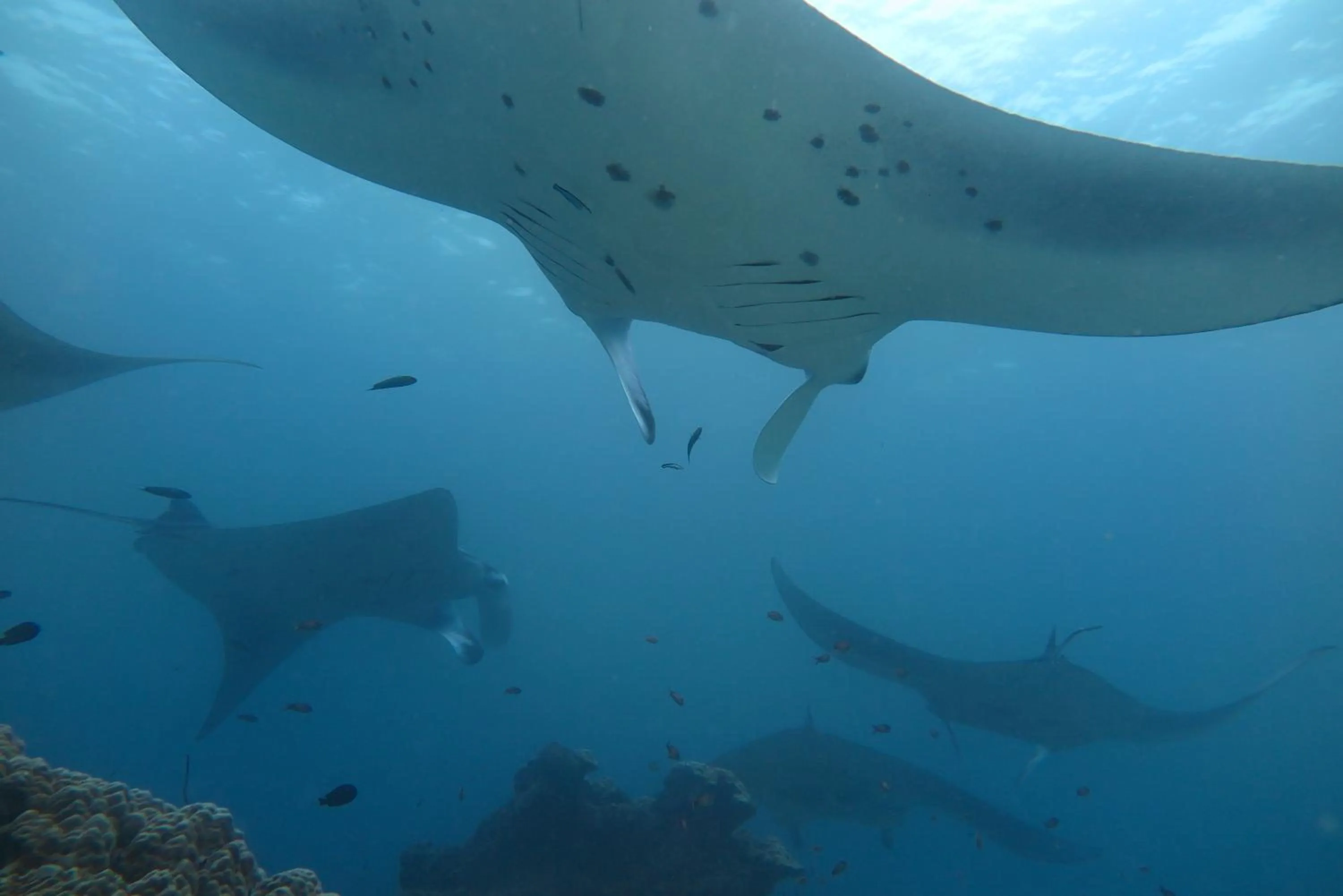 Activities in Palm Residence