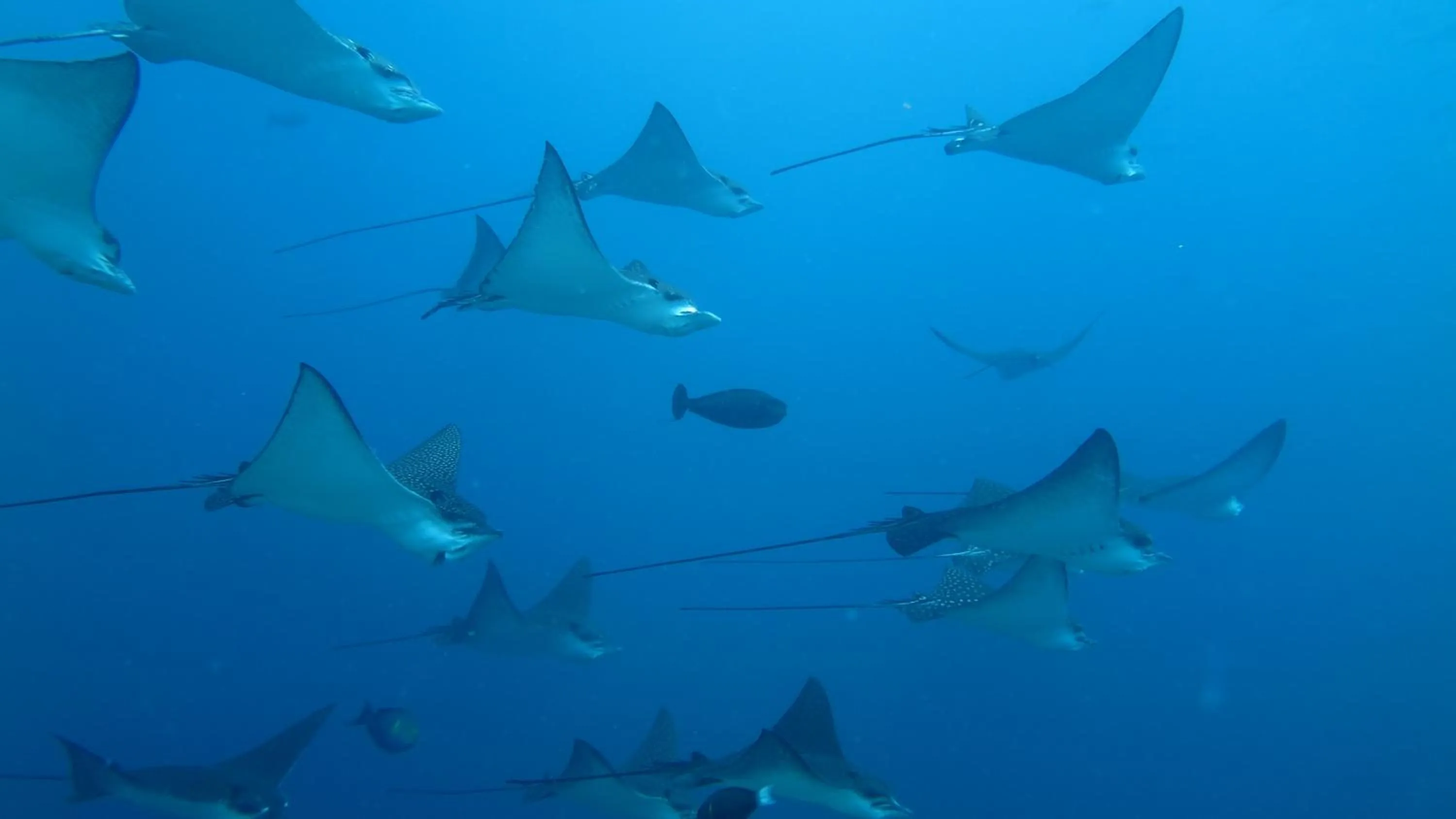 Activities in Palm Residence