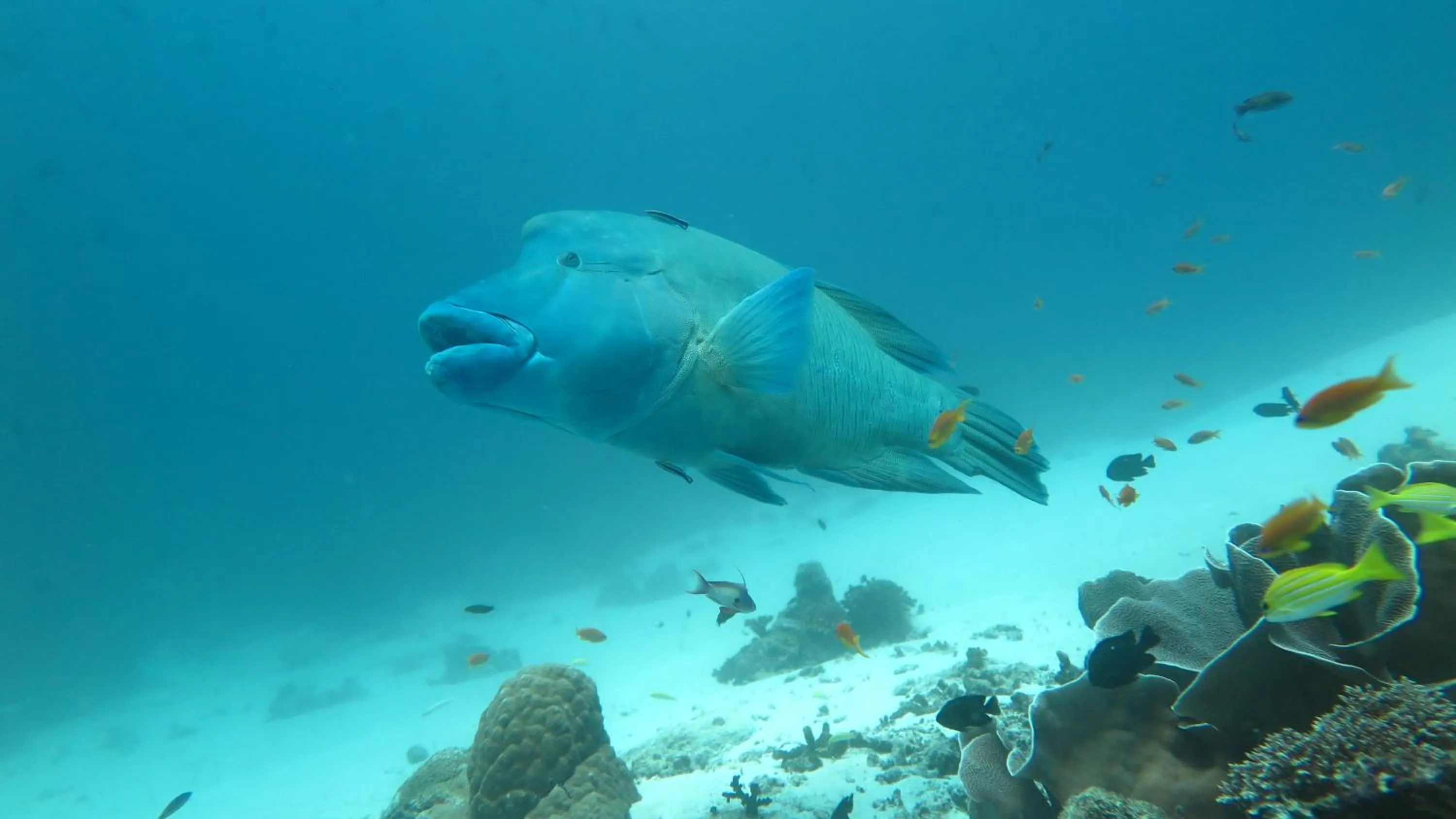 Activities in Palm Residence