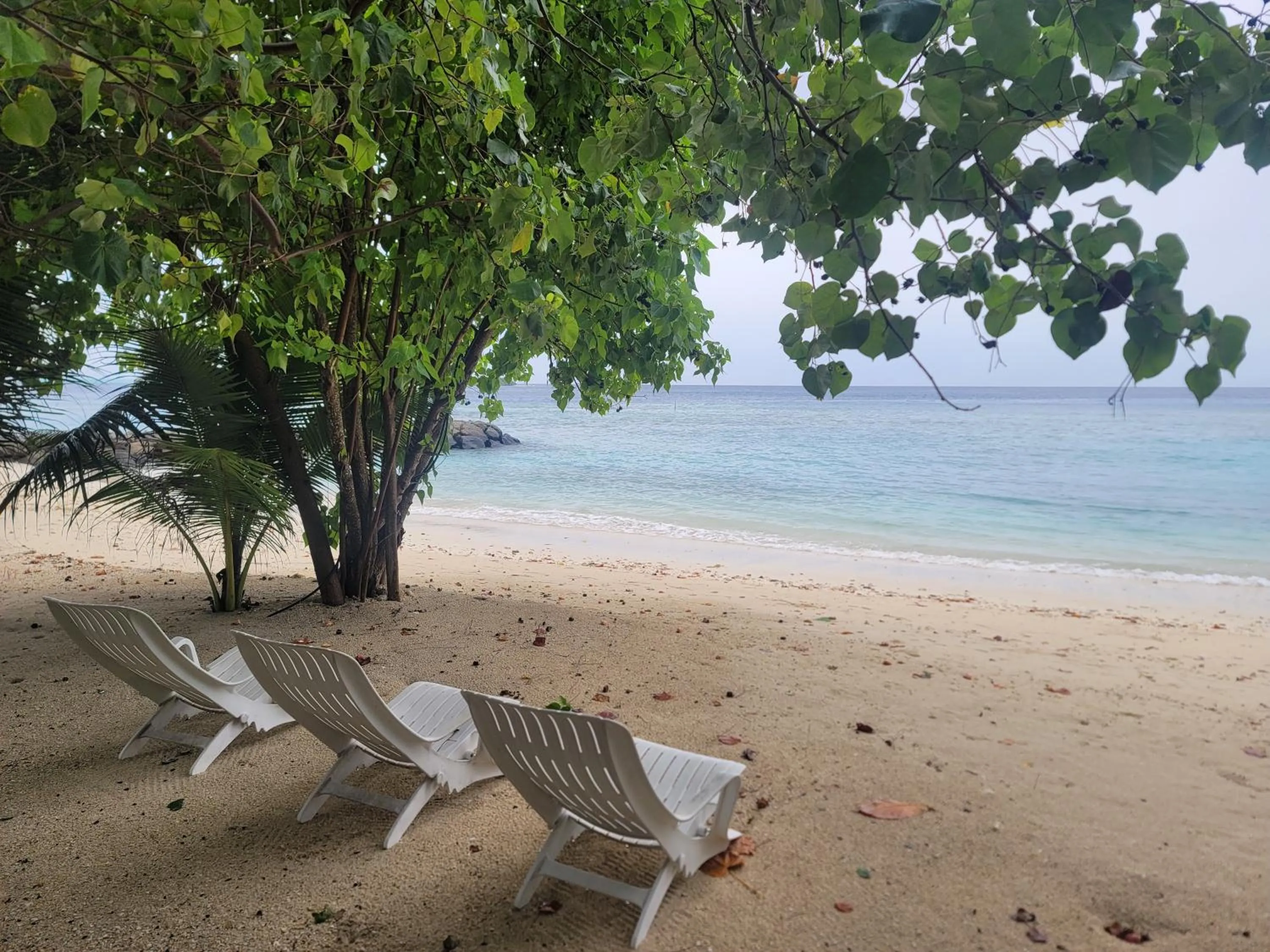 Beach in Palm Residence