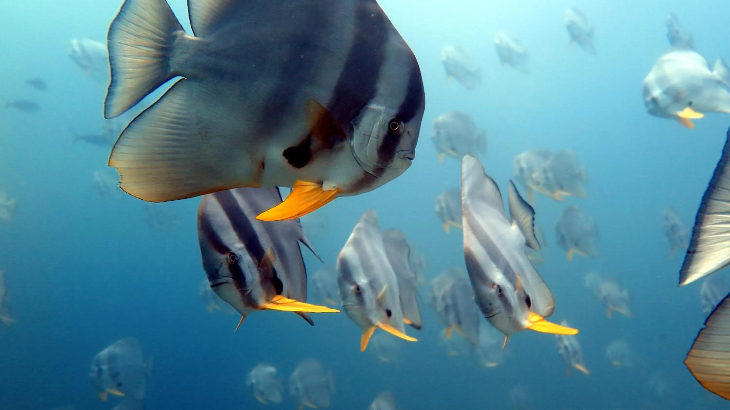 Activities in Palm Residence