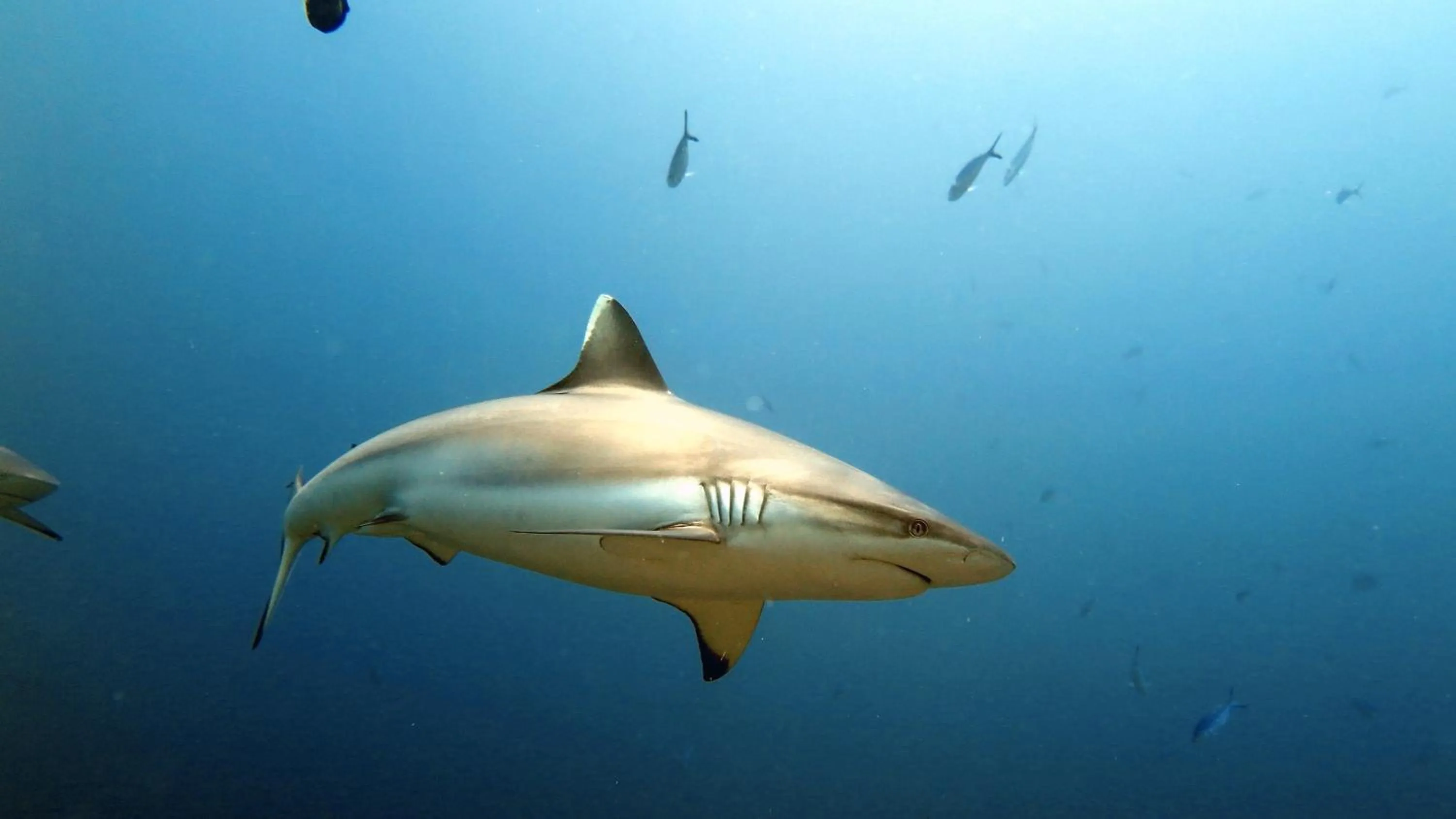 Activities in Palm Residence